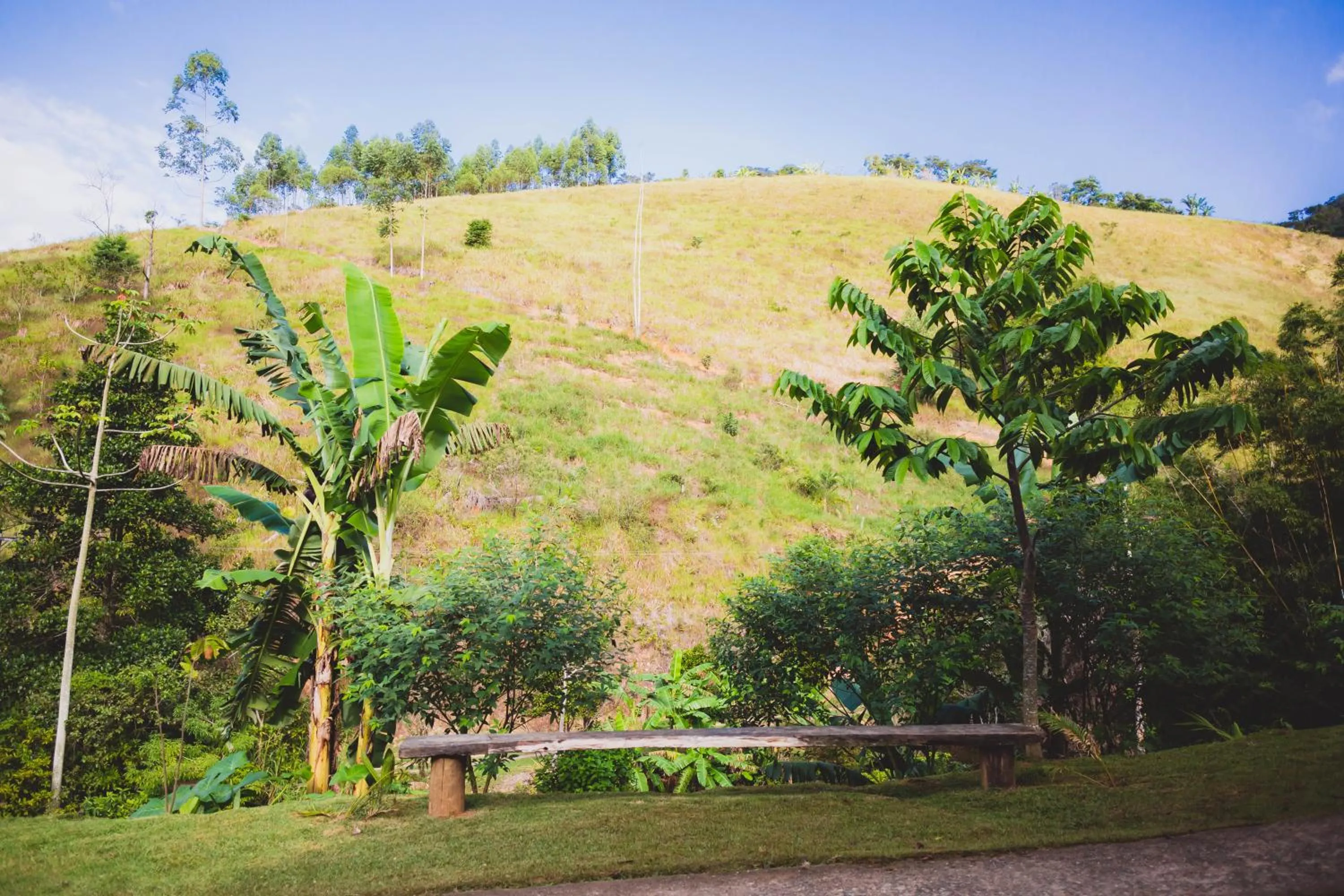 Peniel do Sana Guest House