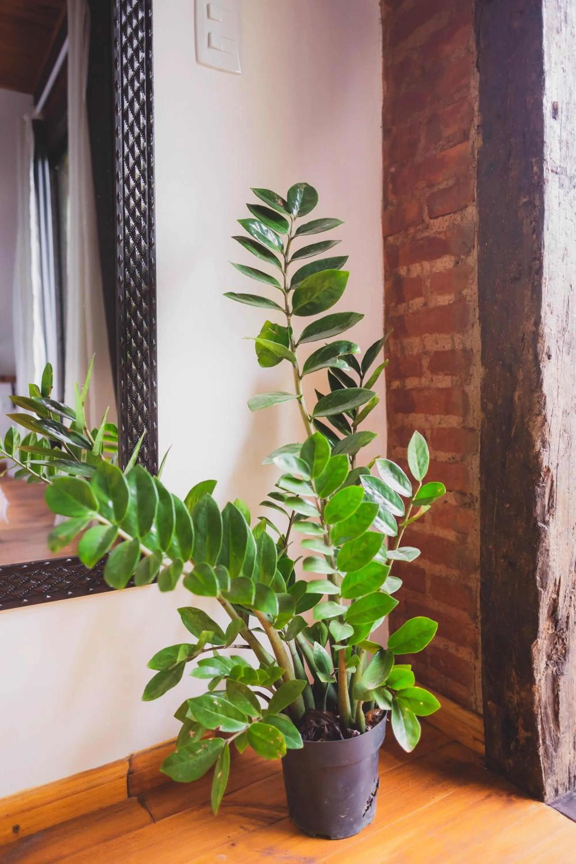 Peniel do Sana Guest House