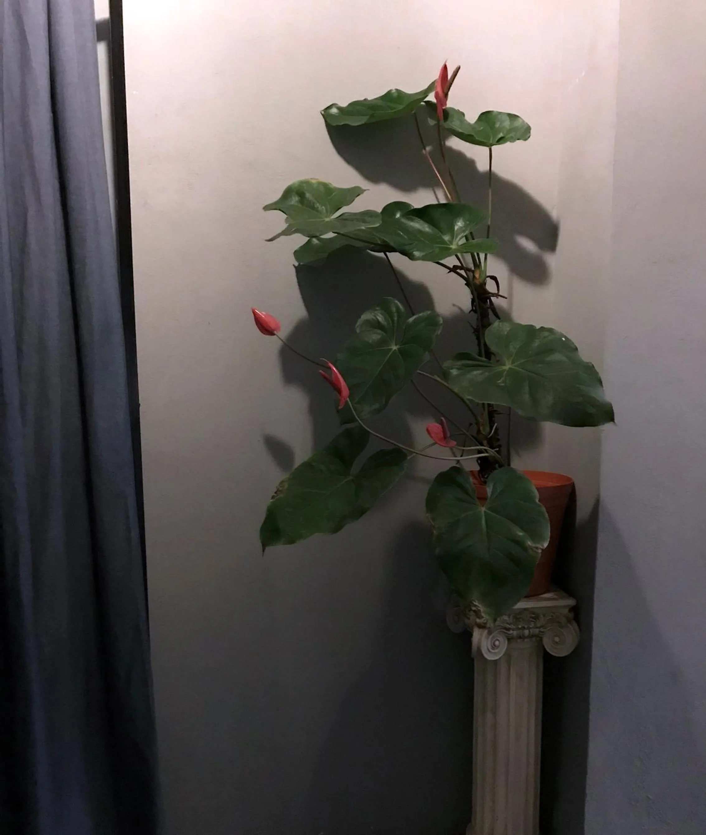 Decorative detail in Colonia Americana Two Level Loft