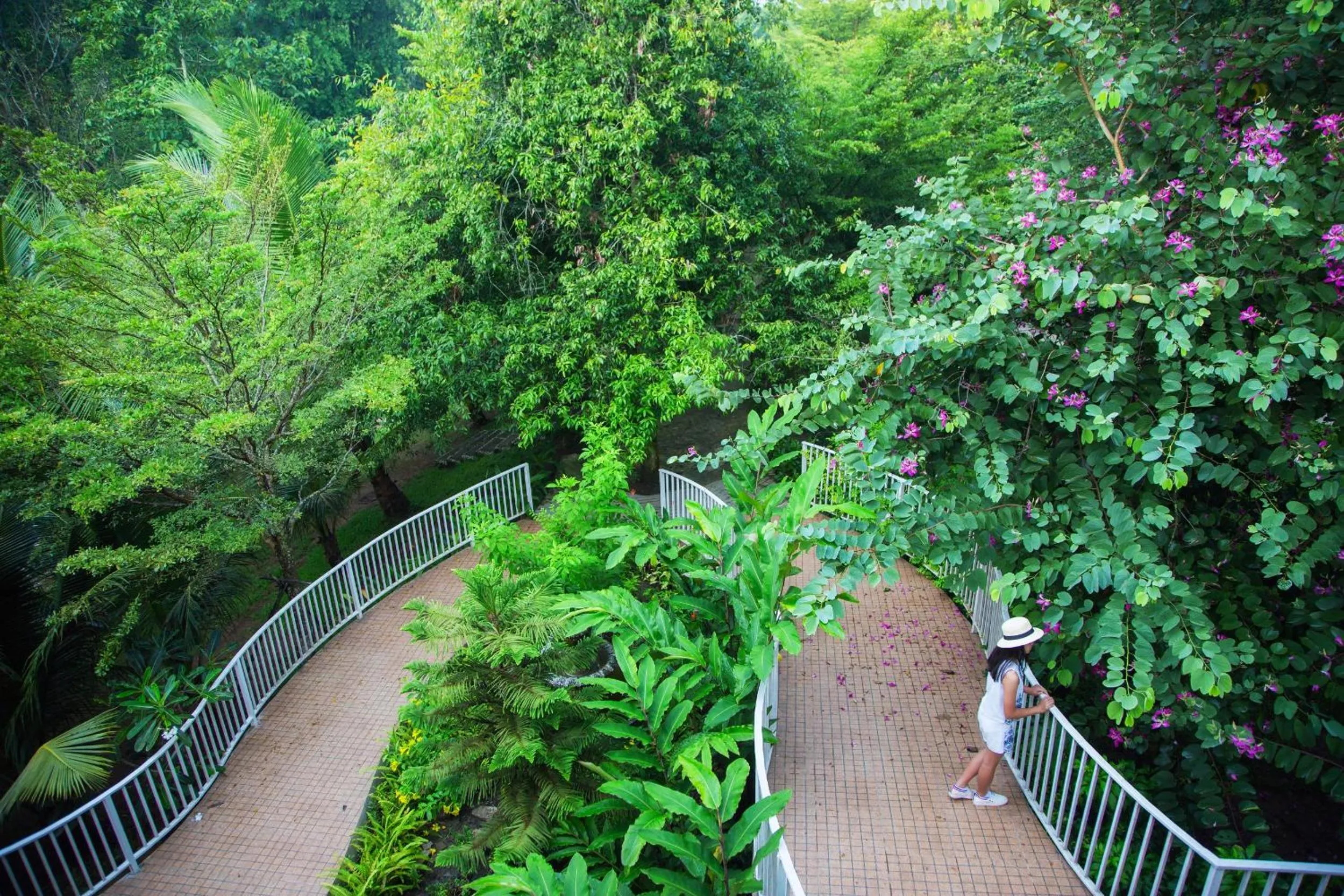 Garden in Watermill Resort