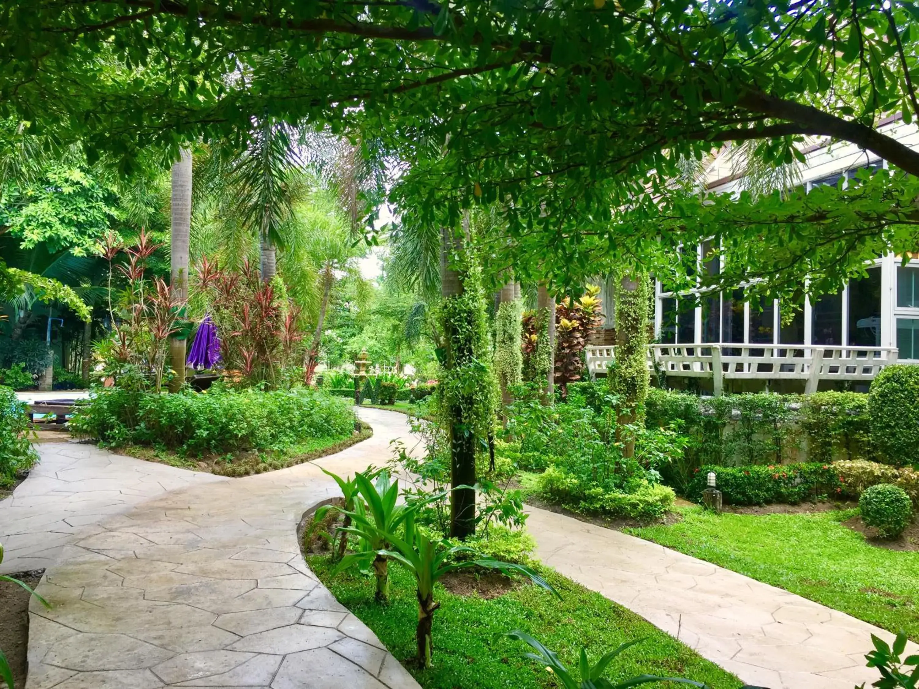 Natural landscape in Watermill Resort Natural landscape in Watermill Resort