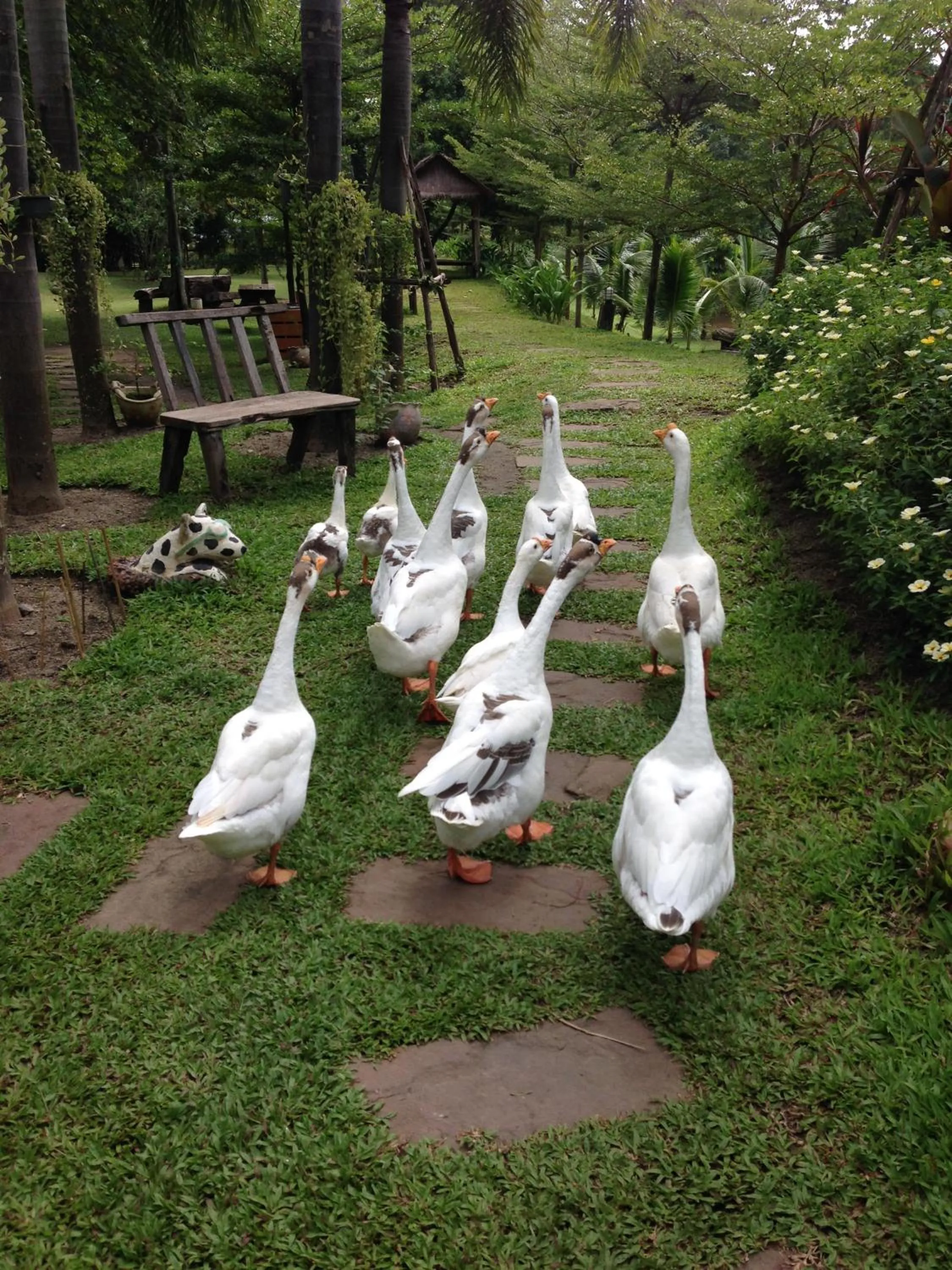 Day in Watermill Resort