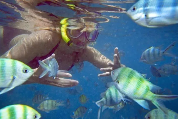 Snorkeling in Flora Bay 1