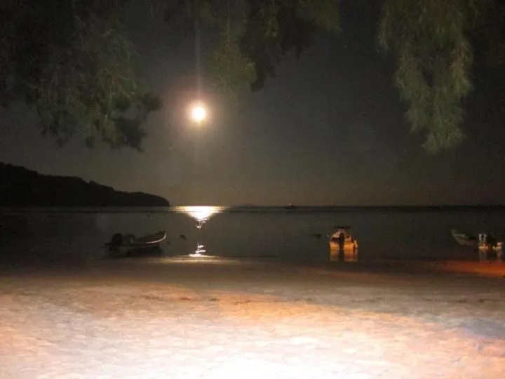 Night in Flora Bay 1