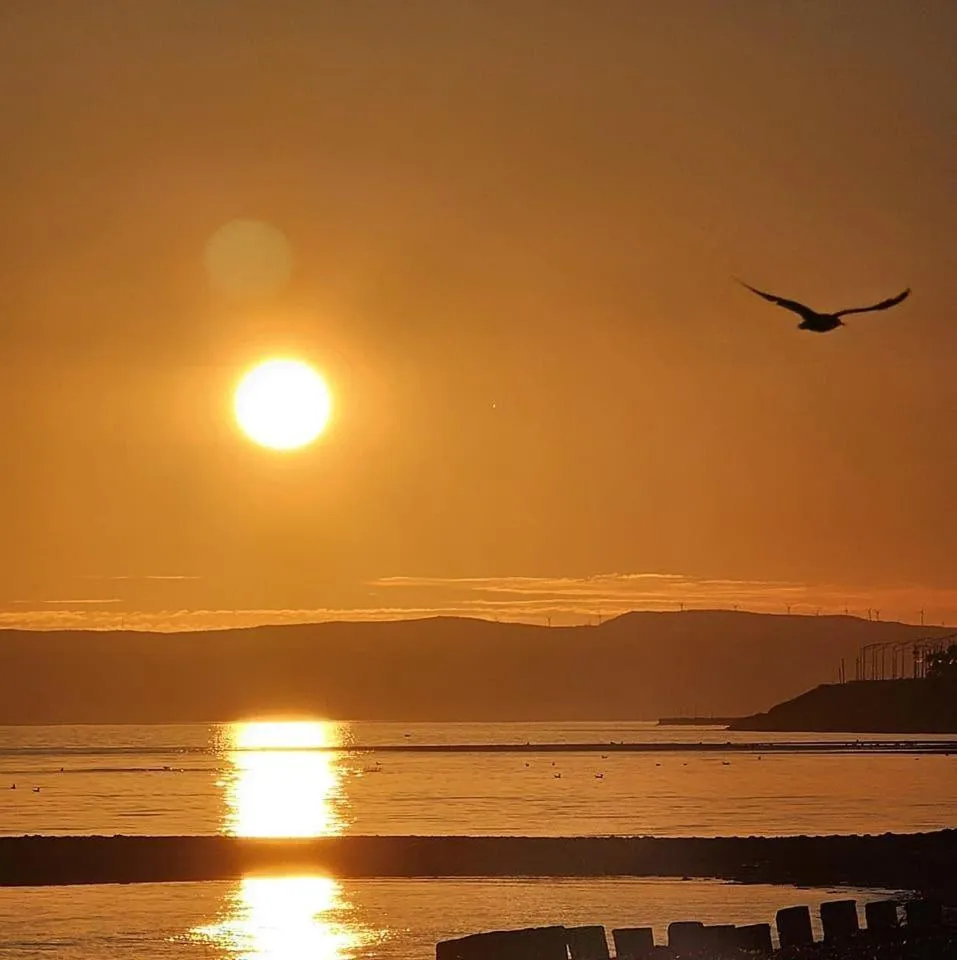 La Ruelle Hébergement