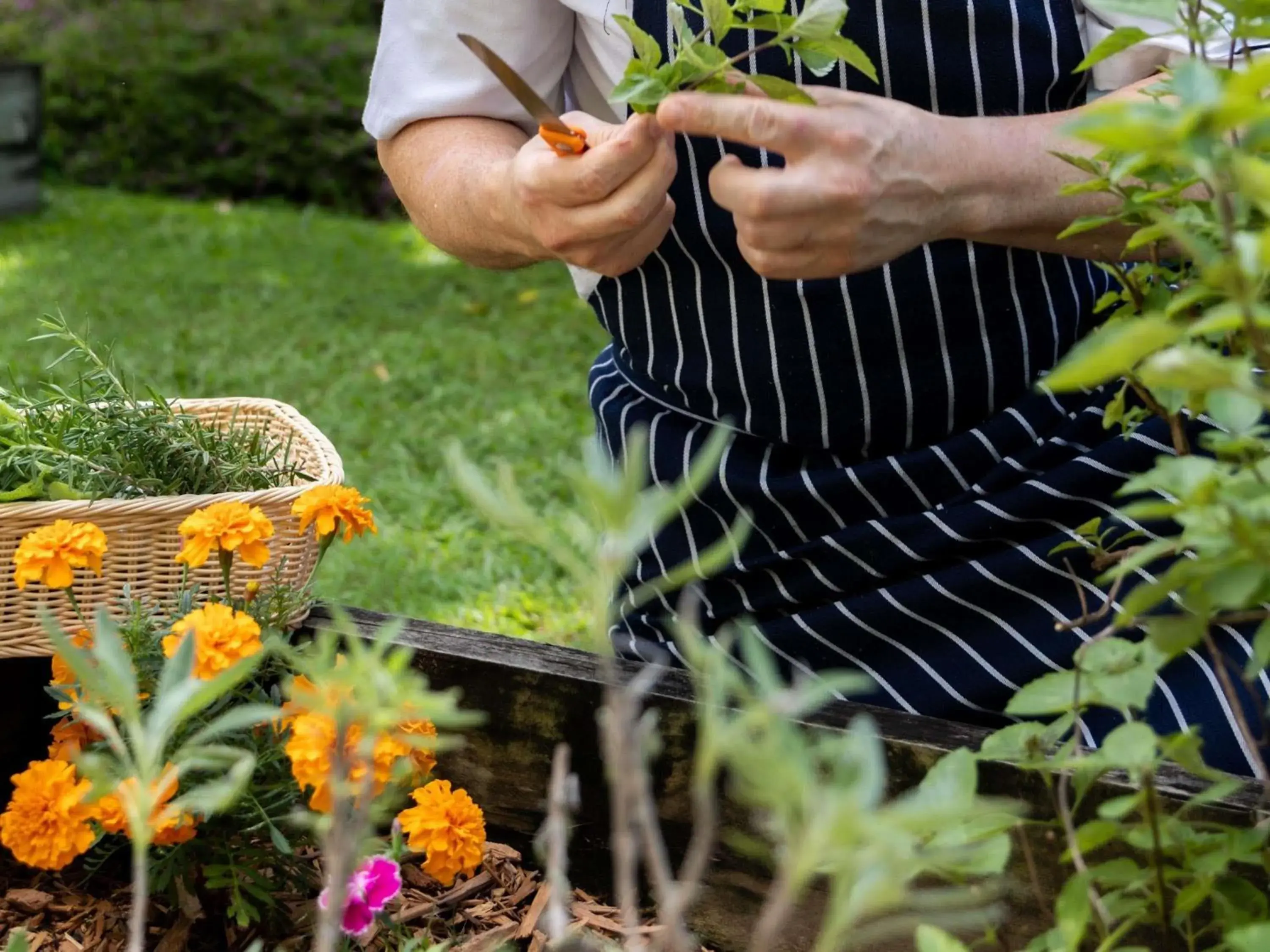 Restaurant/places to eat in Mercure Gold Coast Resort Restaurant/places to eat in Mercure Gold Coast Resort