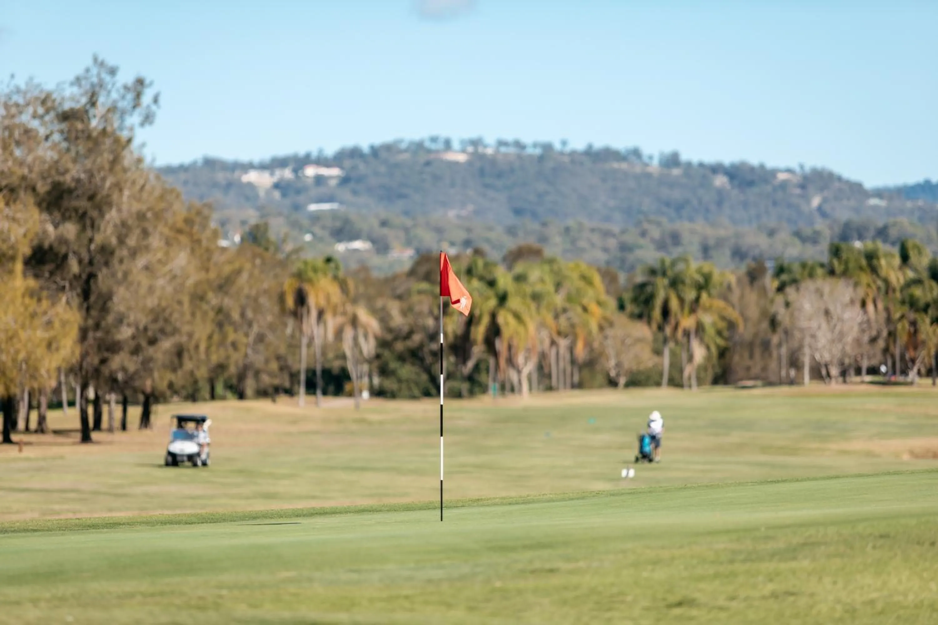 View (from property/room) in Mercure Gold Coast Resort