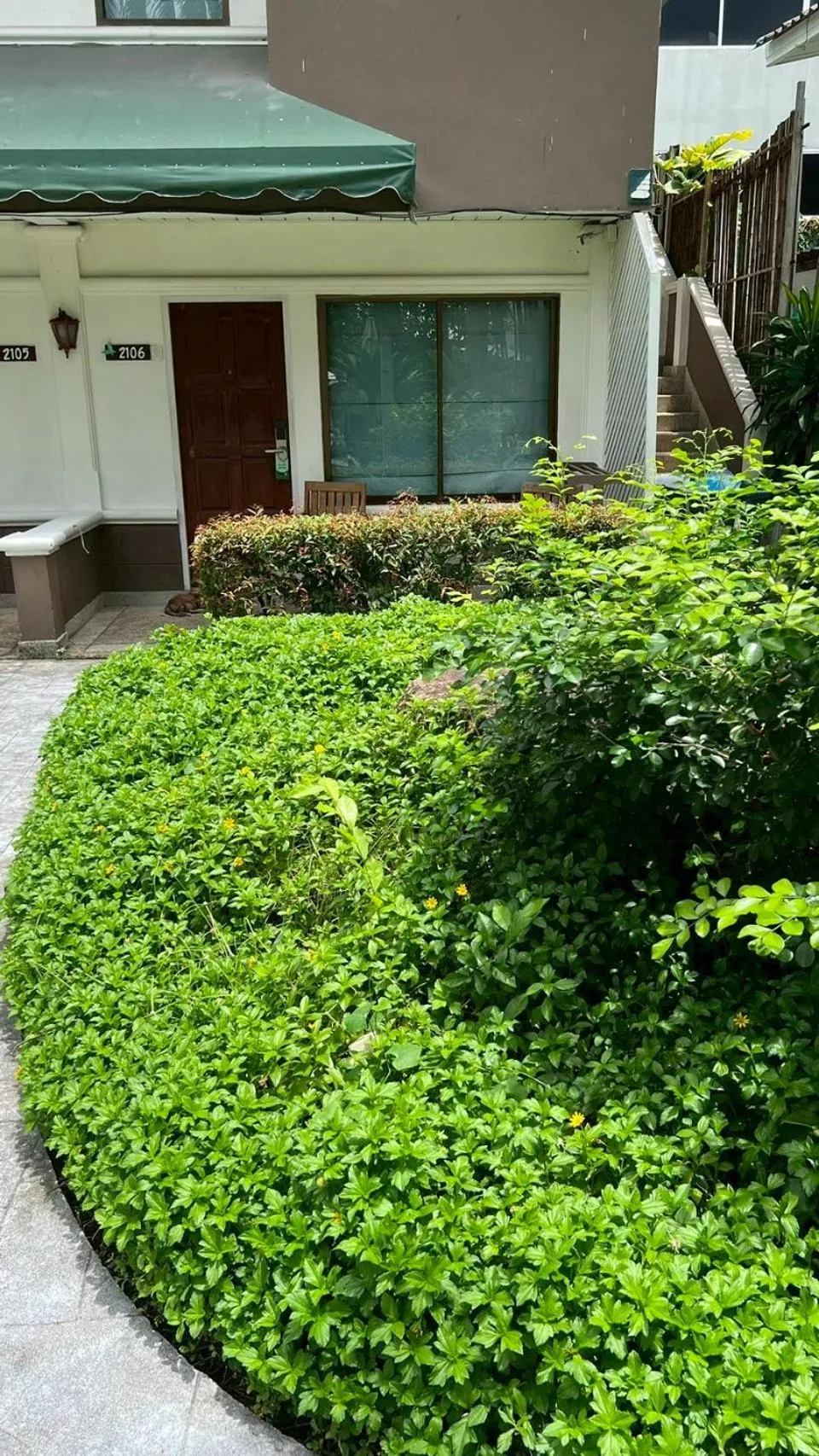 Garden in The Viridian Resort Patong