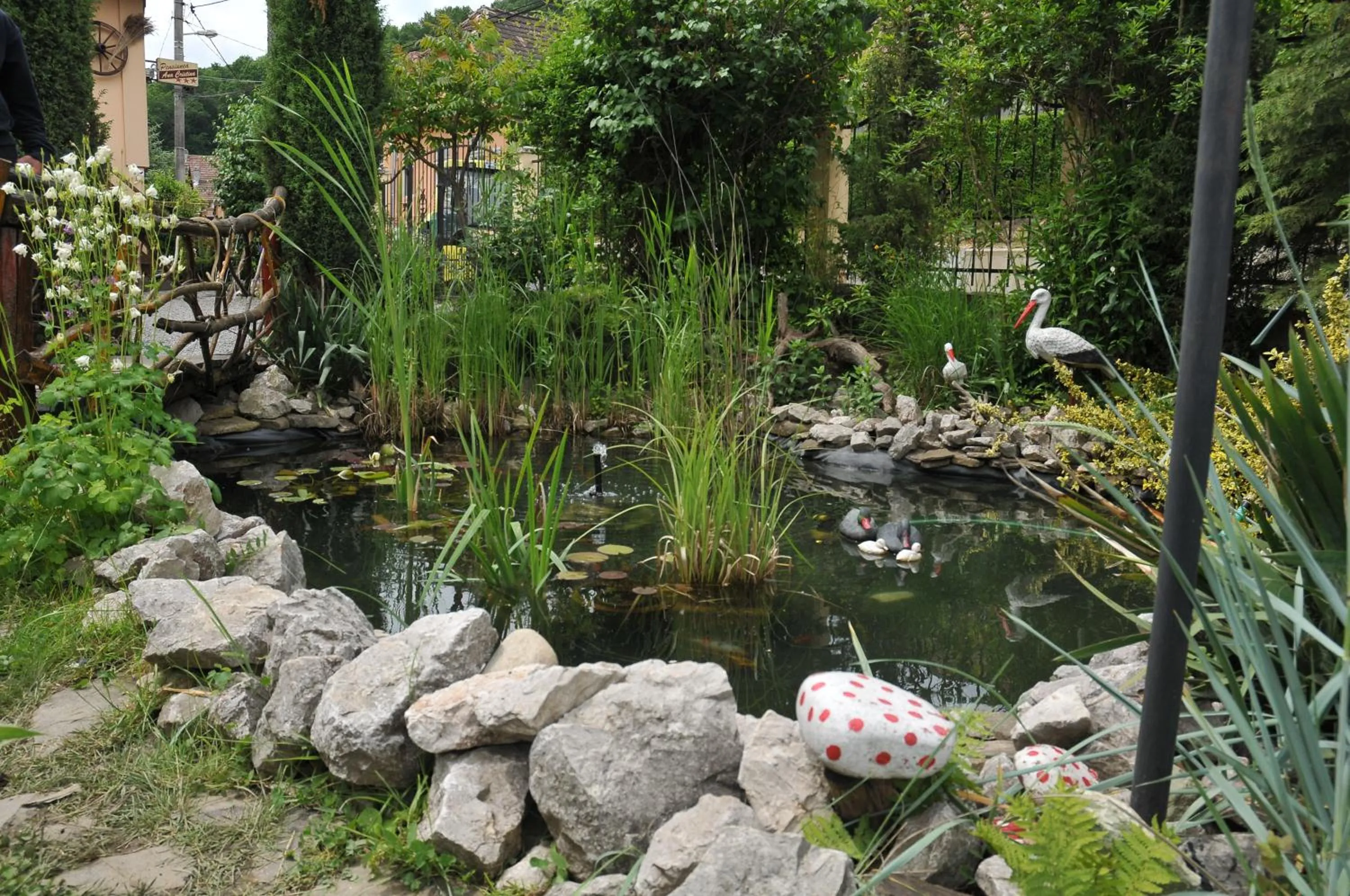 Garden in Pensiunea Ana Cristina