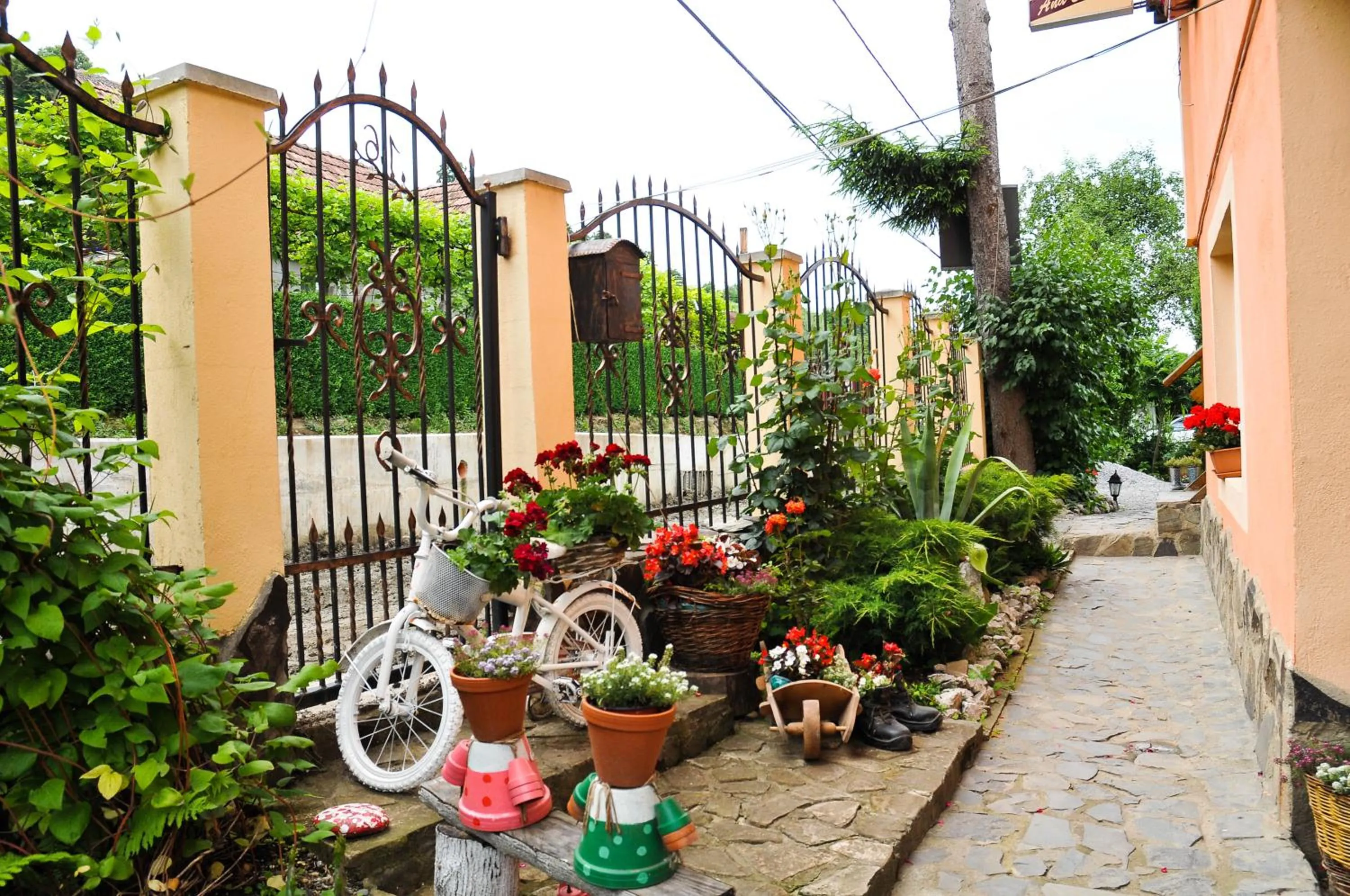 Garden in Pensiunea Ana Cristina