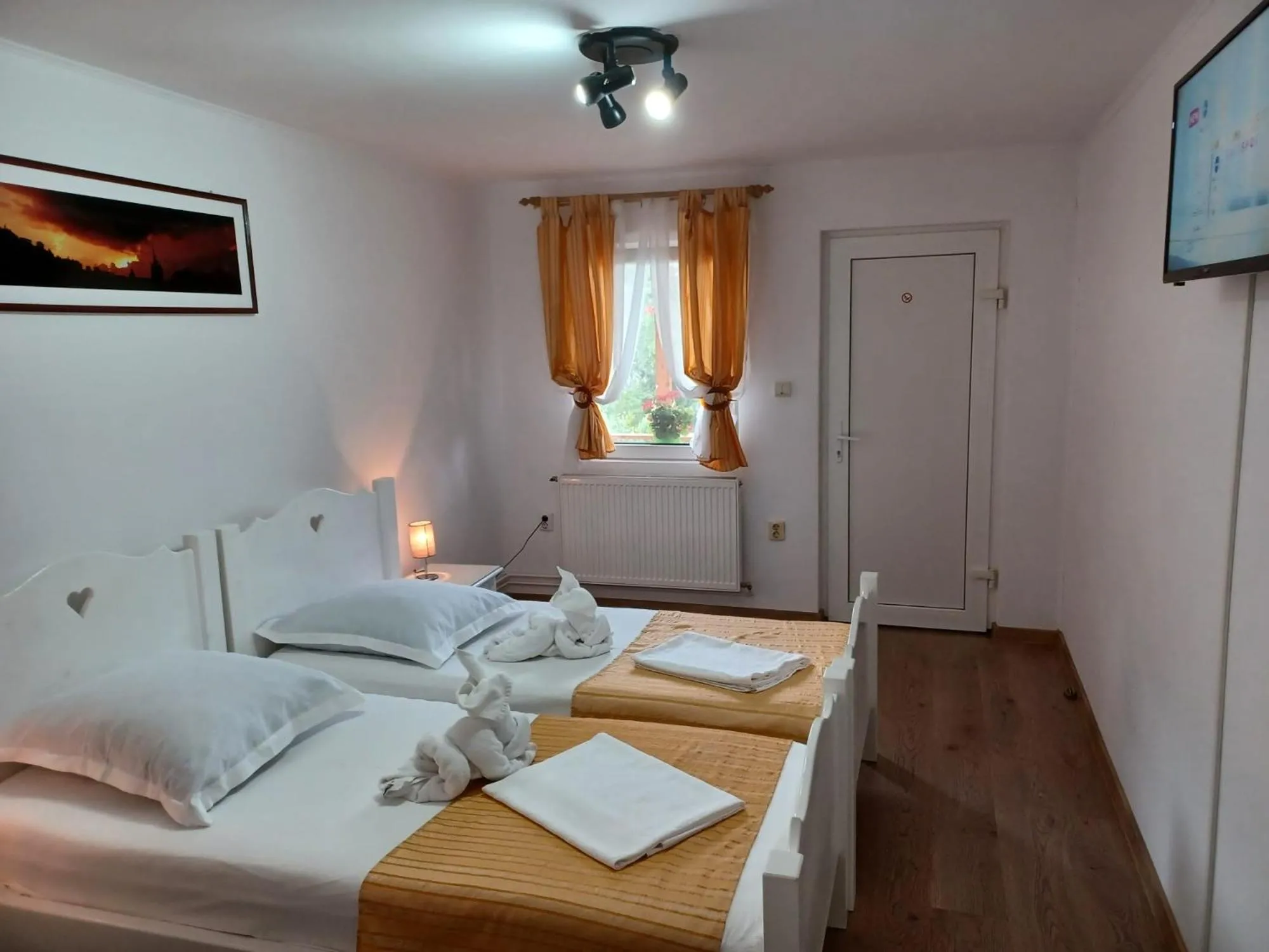 Double or Twin Room in Pensiunea Ana Cristina