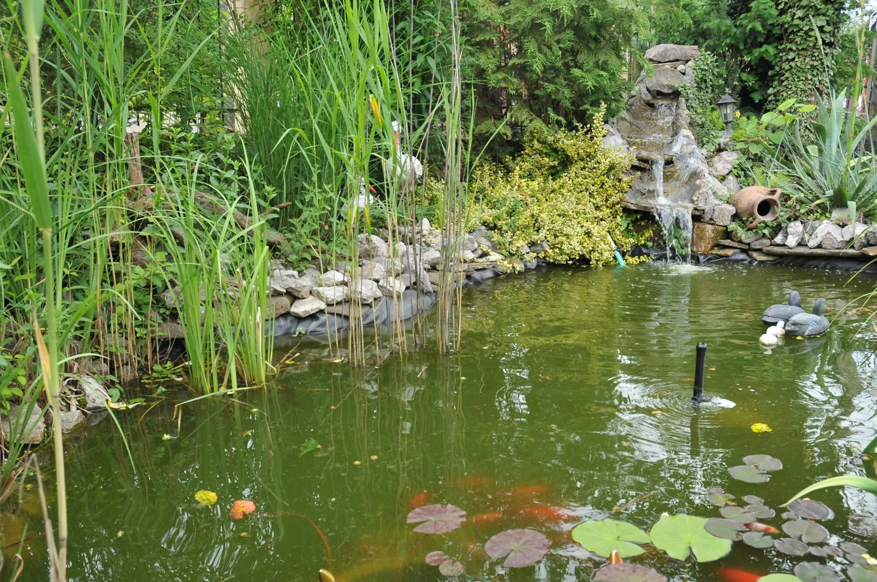 Natural landscape in Pensiunea Ana Cristina