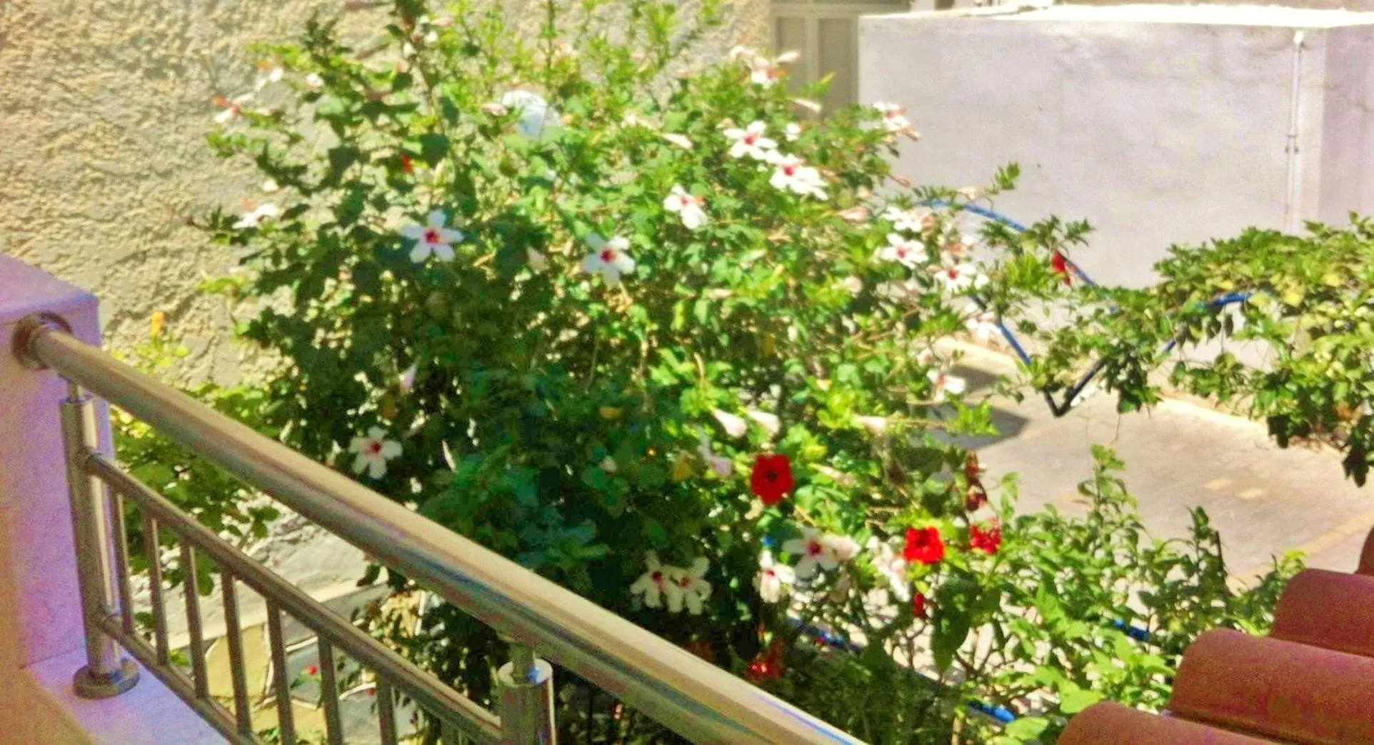 Spring in Apollonia Apartments