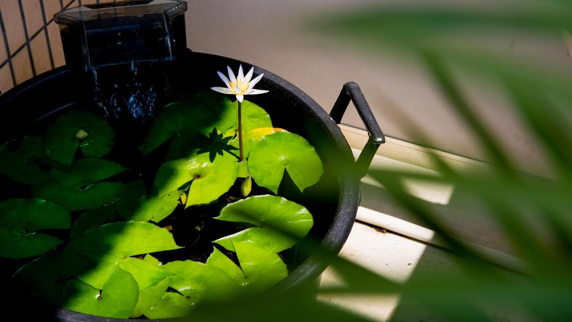 Decorative detail in Hotel Sunset ZANPA