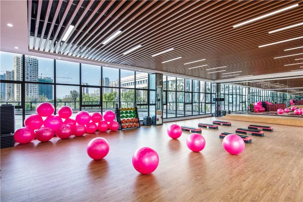 Howard Johnson New District Plaza ZiYang