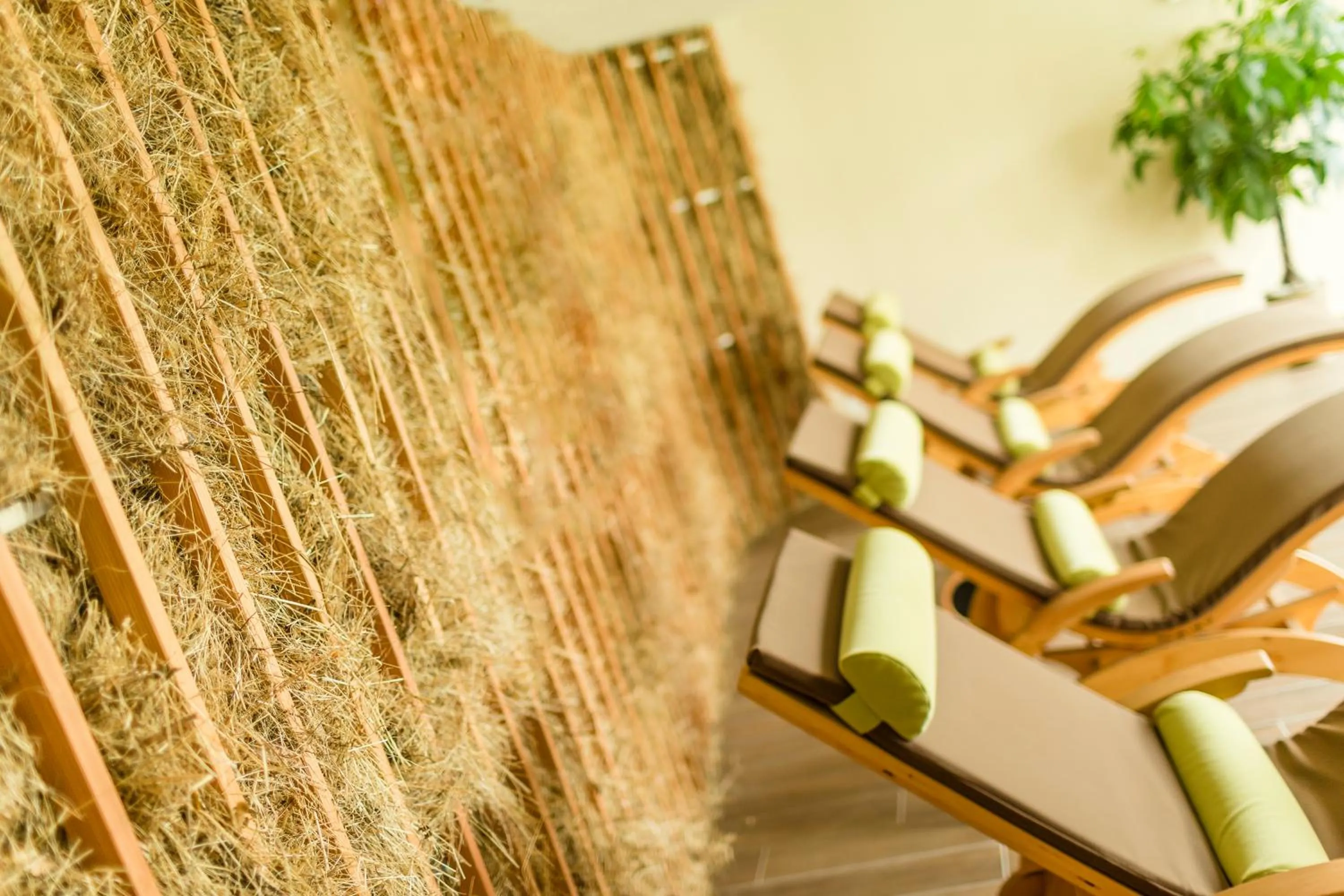 Spa and wellness centre/facilities in Hotel Mitterplatt (Schenna Resort)