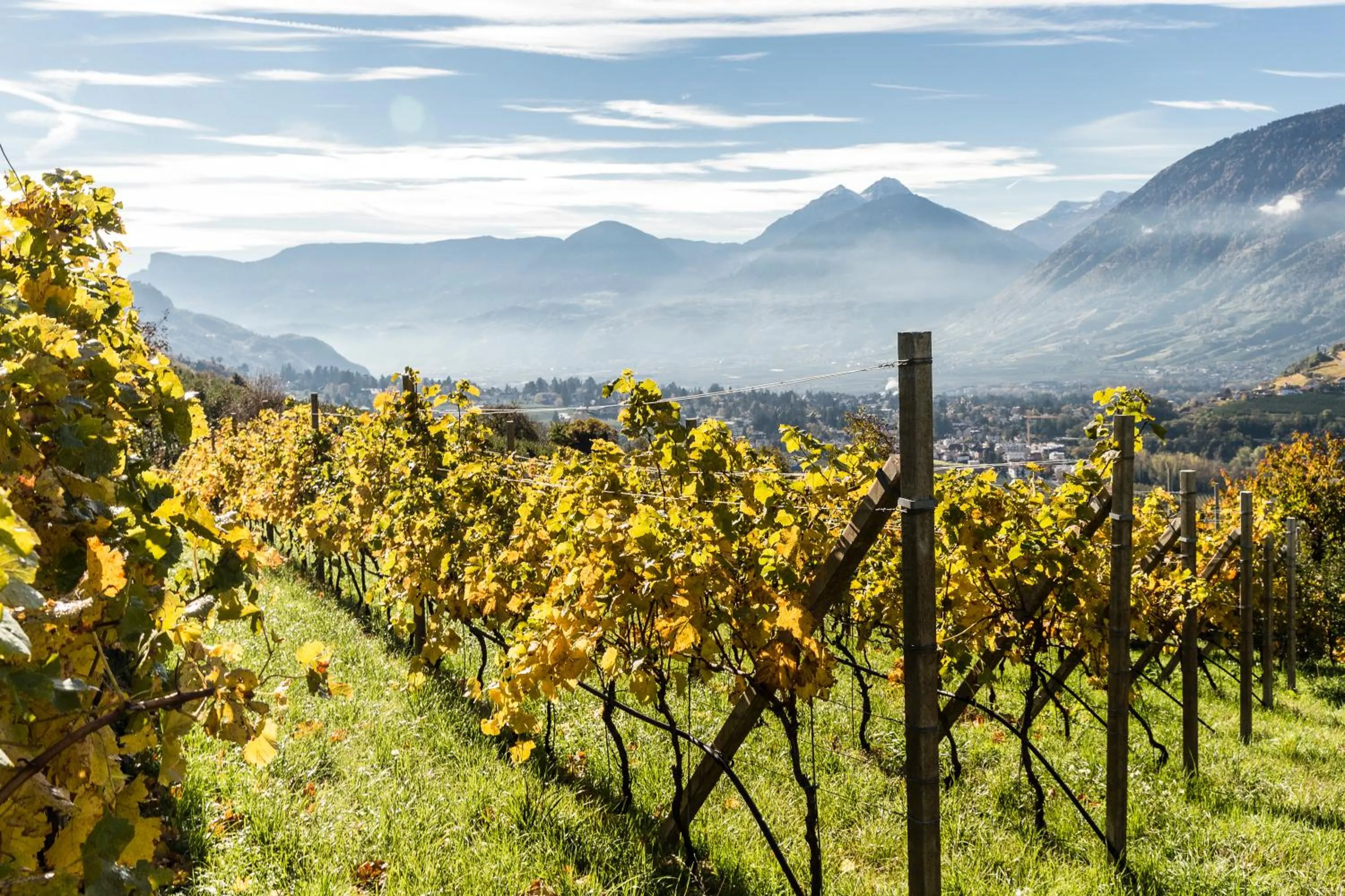 Staff in Hotel Mitterplatt (Schenna Resort)
