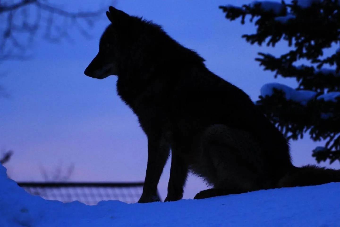 Nearby landmark in Stay In Biei