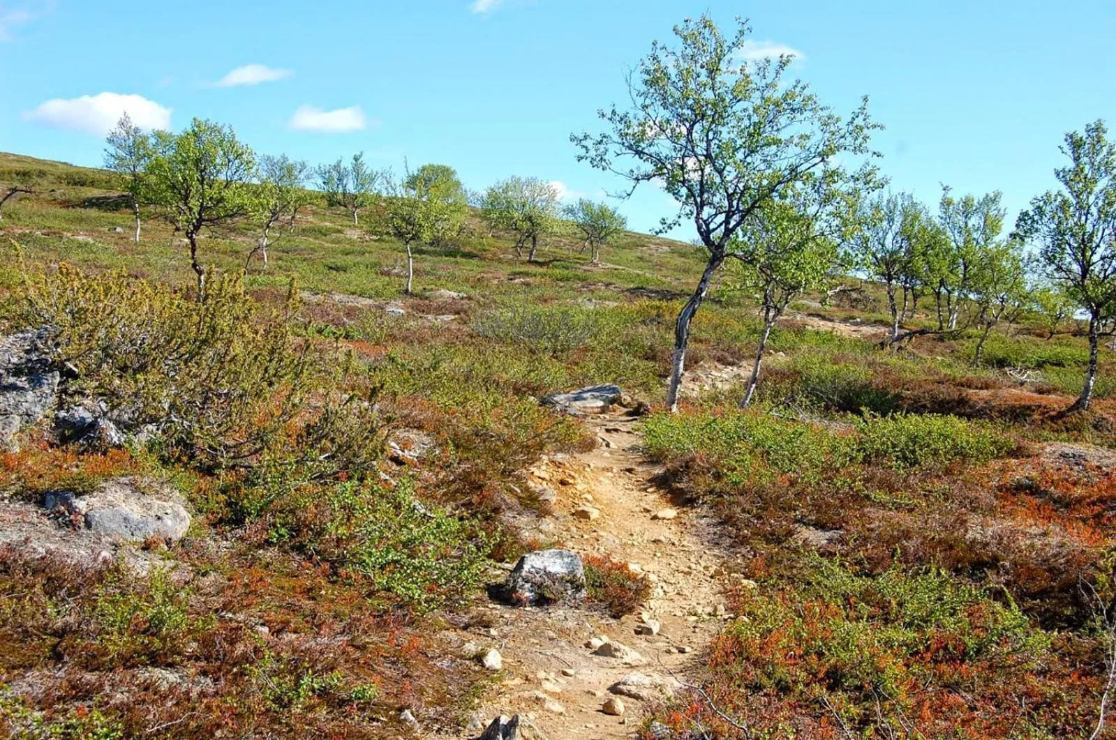 Natural landscape in Lövåsgårdens Fjällhotell