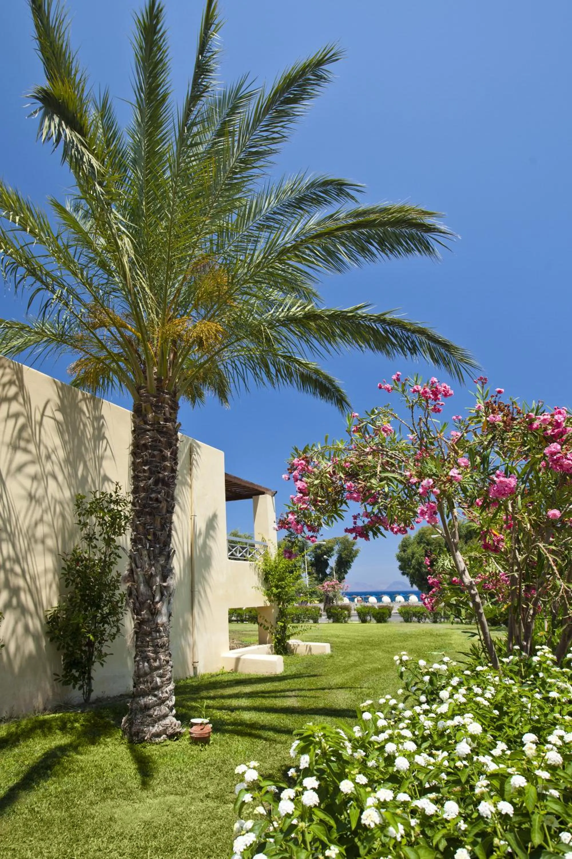 Day in Kipriotis Maris Suites