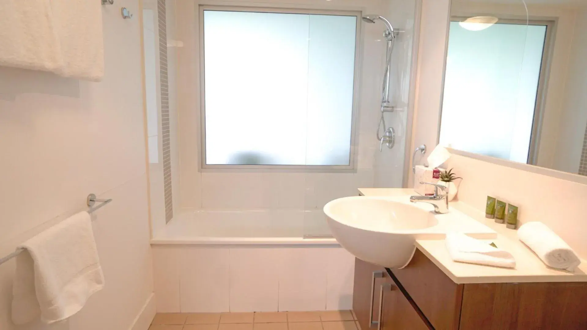 Bathroom in Horton Apartments Bathroom in Horton Apartments