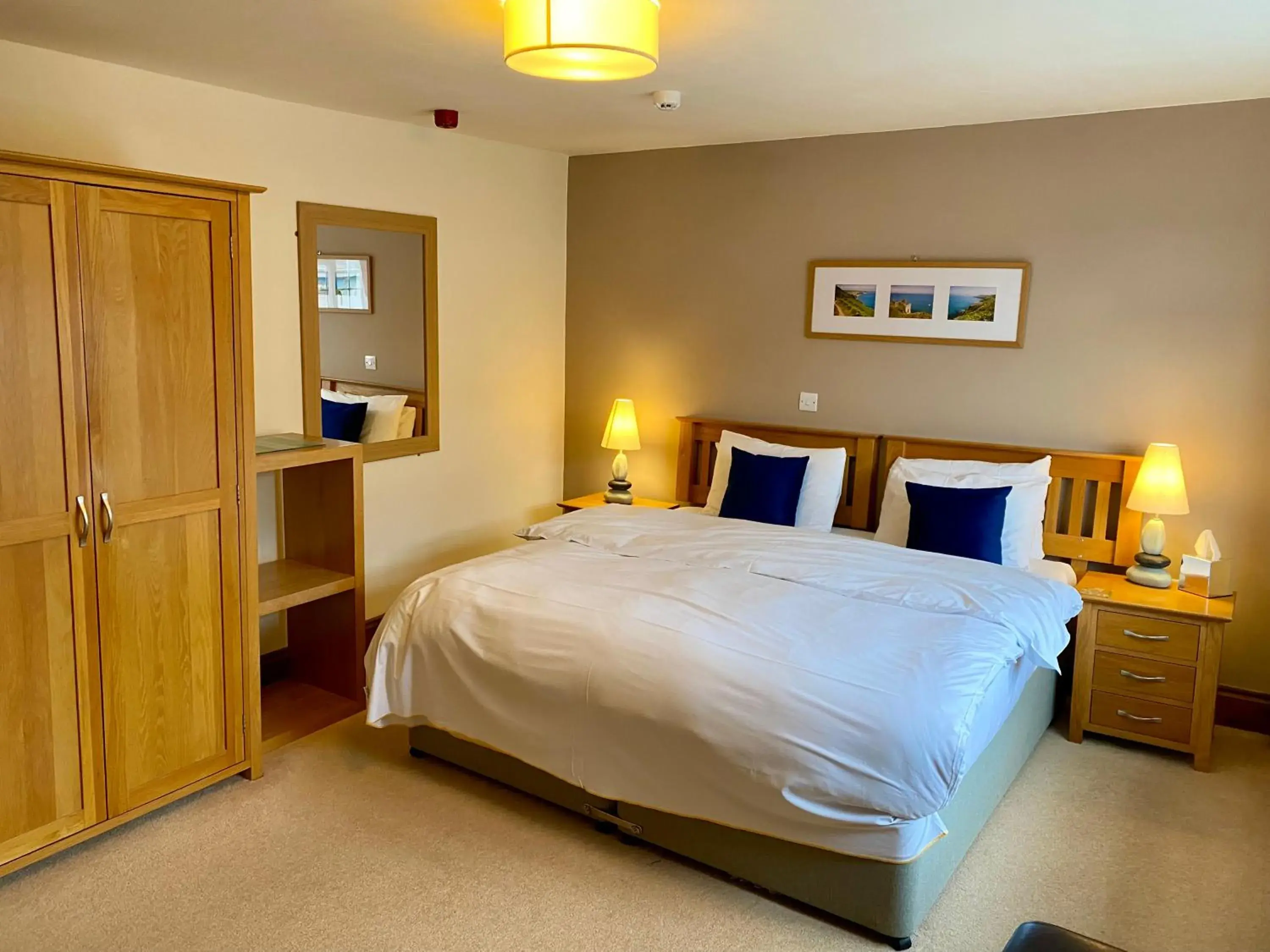 Double Room - single occupancy in The Globe Inn Double Room - single occupancy in The Globe Inn