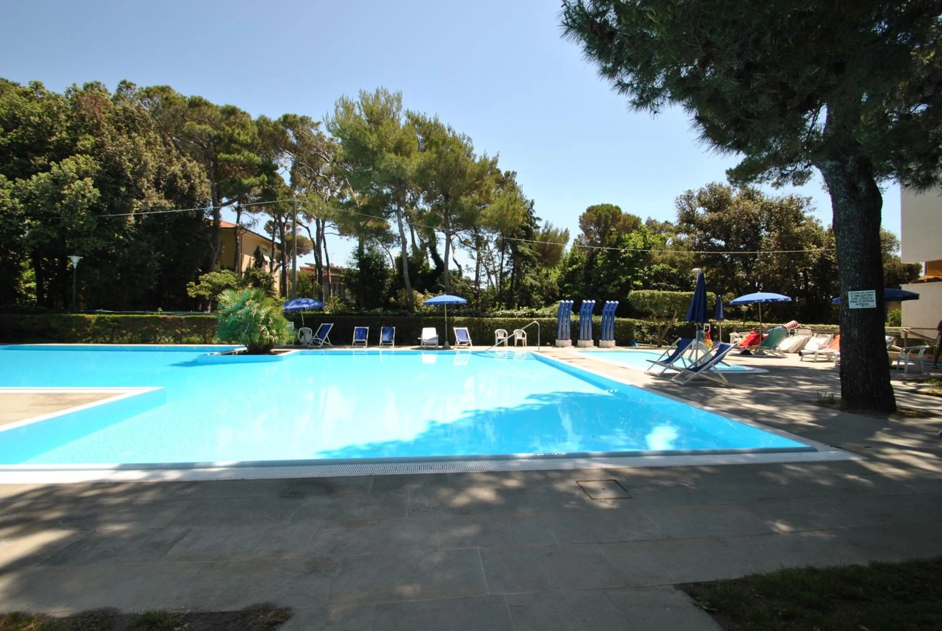 Swimming pool in Fattoria Nel Parco