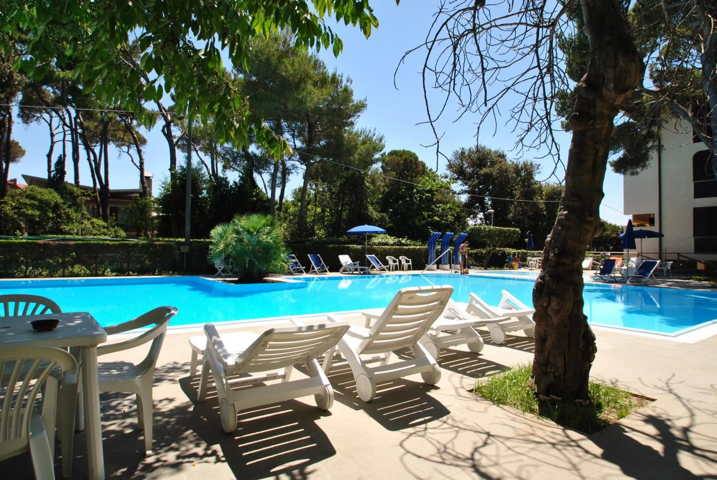 Swimming pool in Fattoria Nel Parco