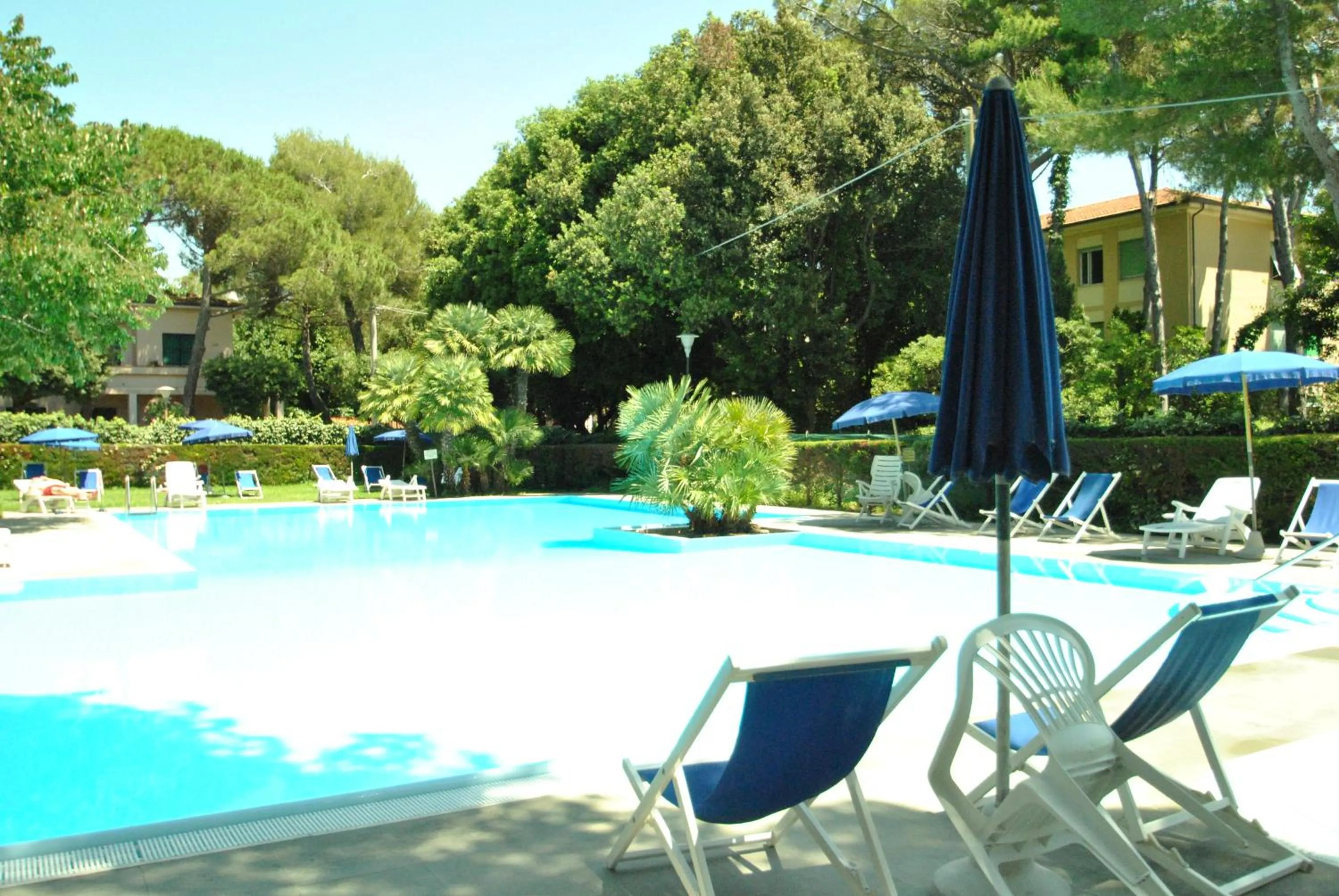 Swimming pool in Fattoria Nel Parco