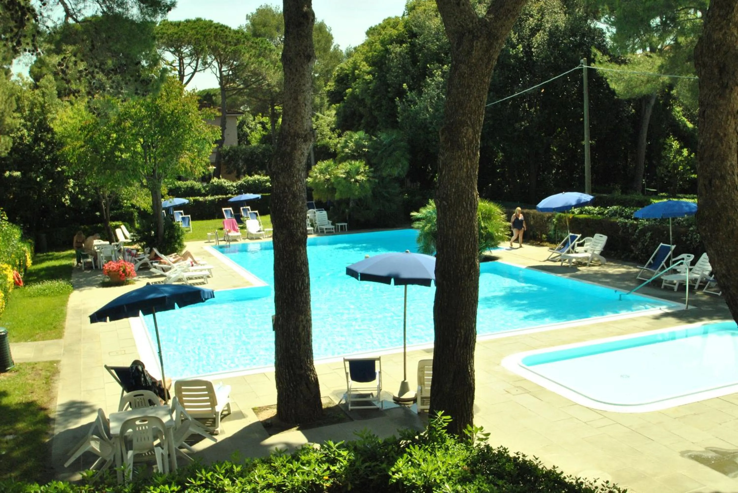 Swimming pool in Fattoria Nel Parco