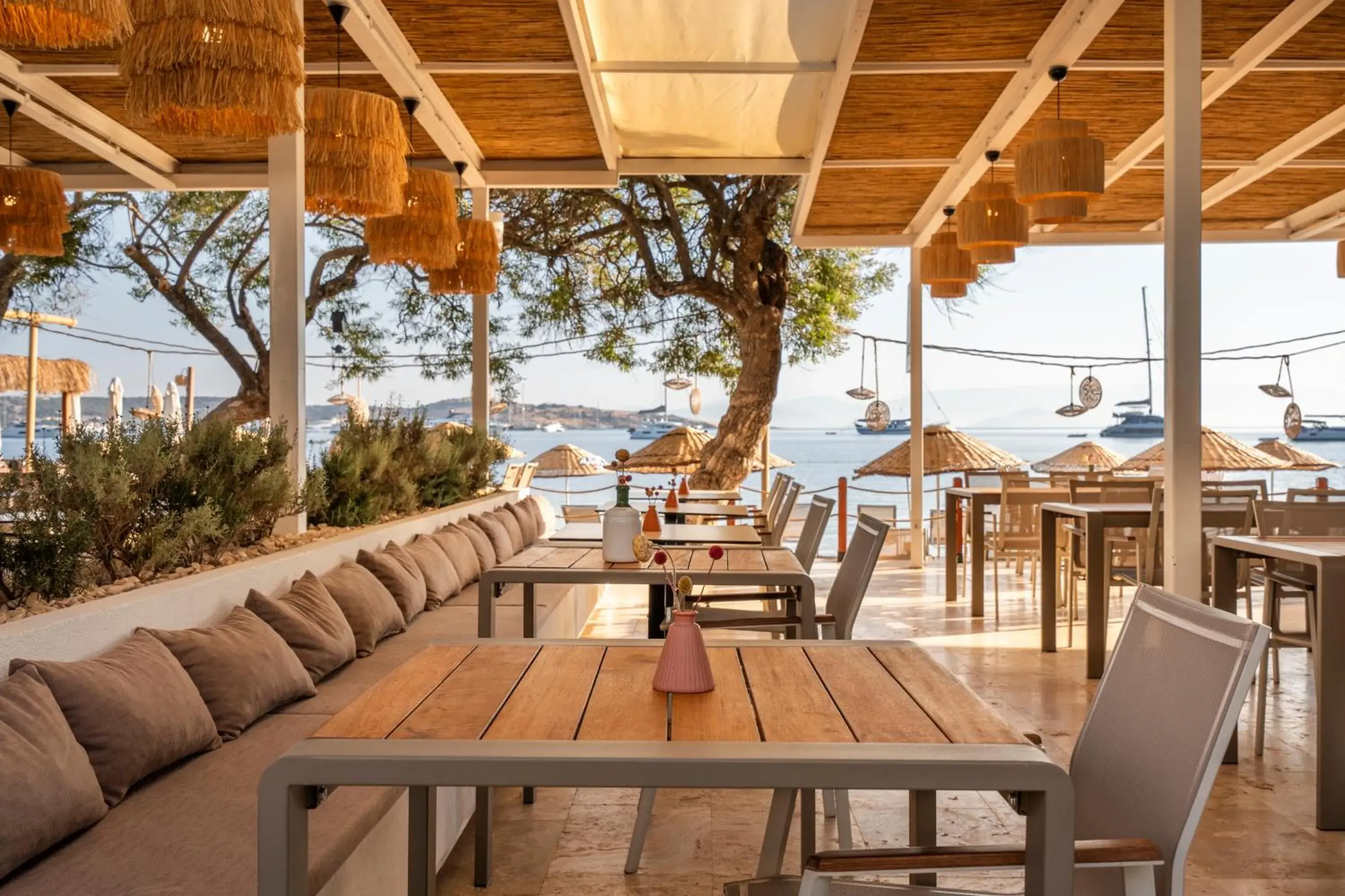 Restaurant/places to eat in Daphnis Hotel Restaurant/places to eat in Daphnis Hotel