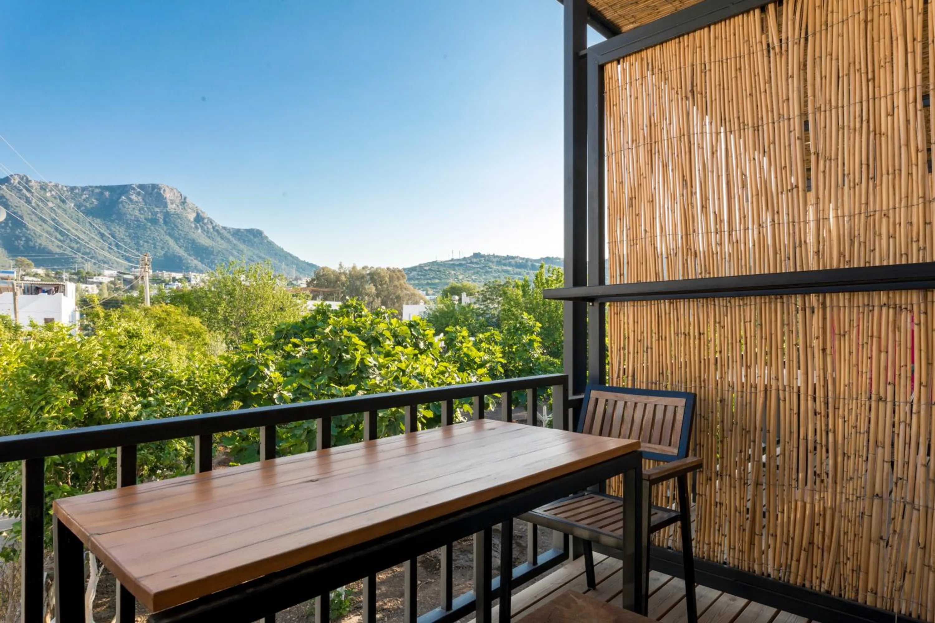 Balcony/Terrace in Daphnis Hotel