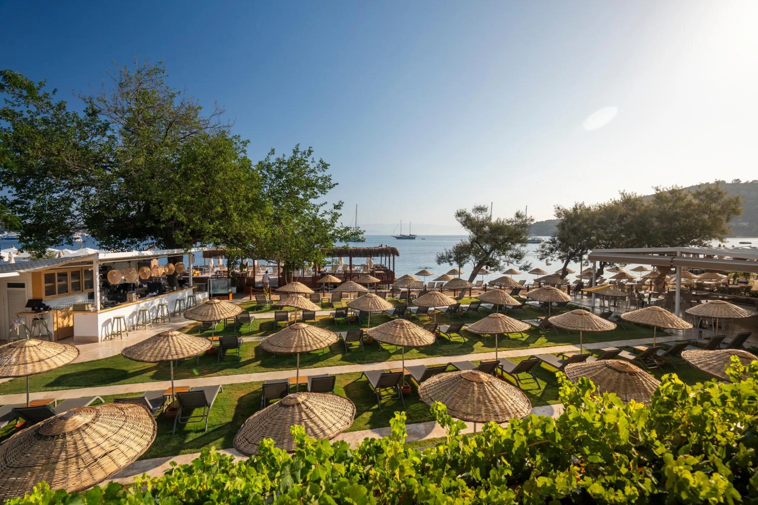 Garden in Daphnis Hotel