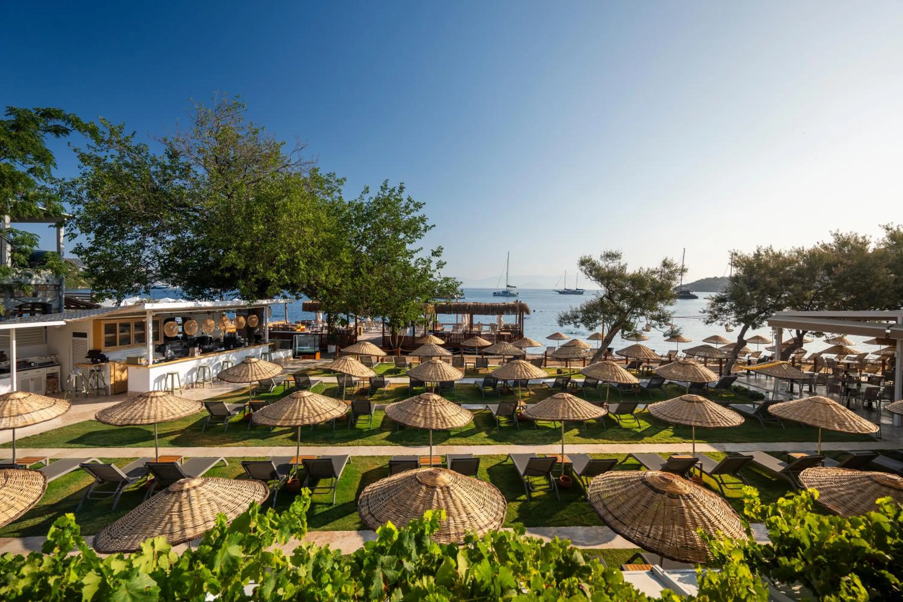 Garden in Daphnis Hotel