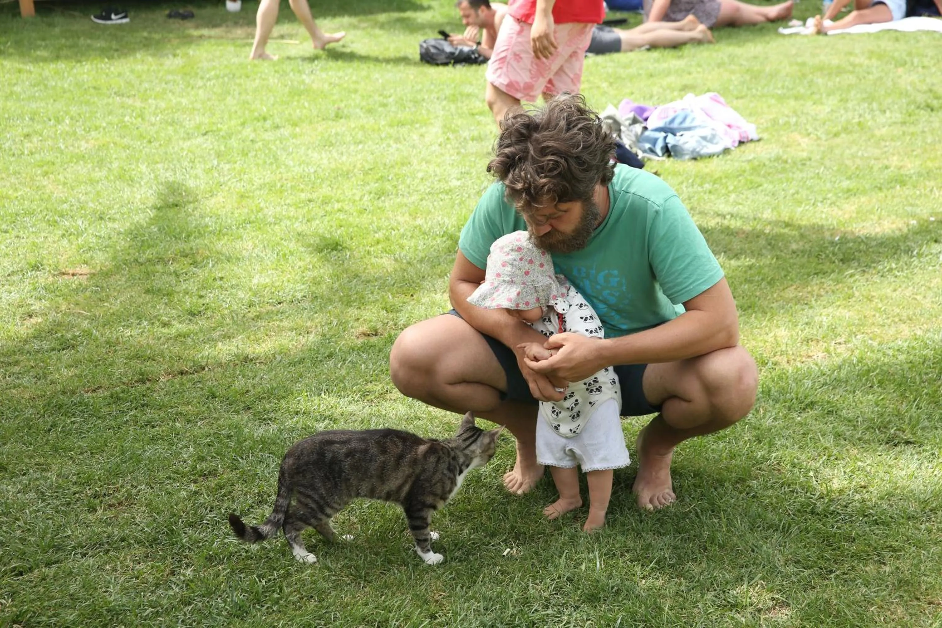 Garden in Daphnis Hotel
