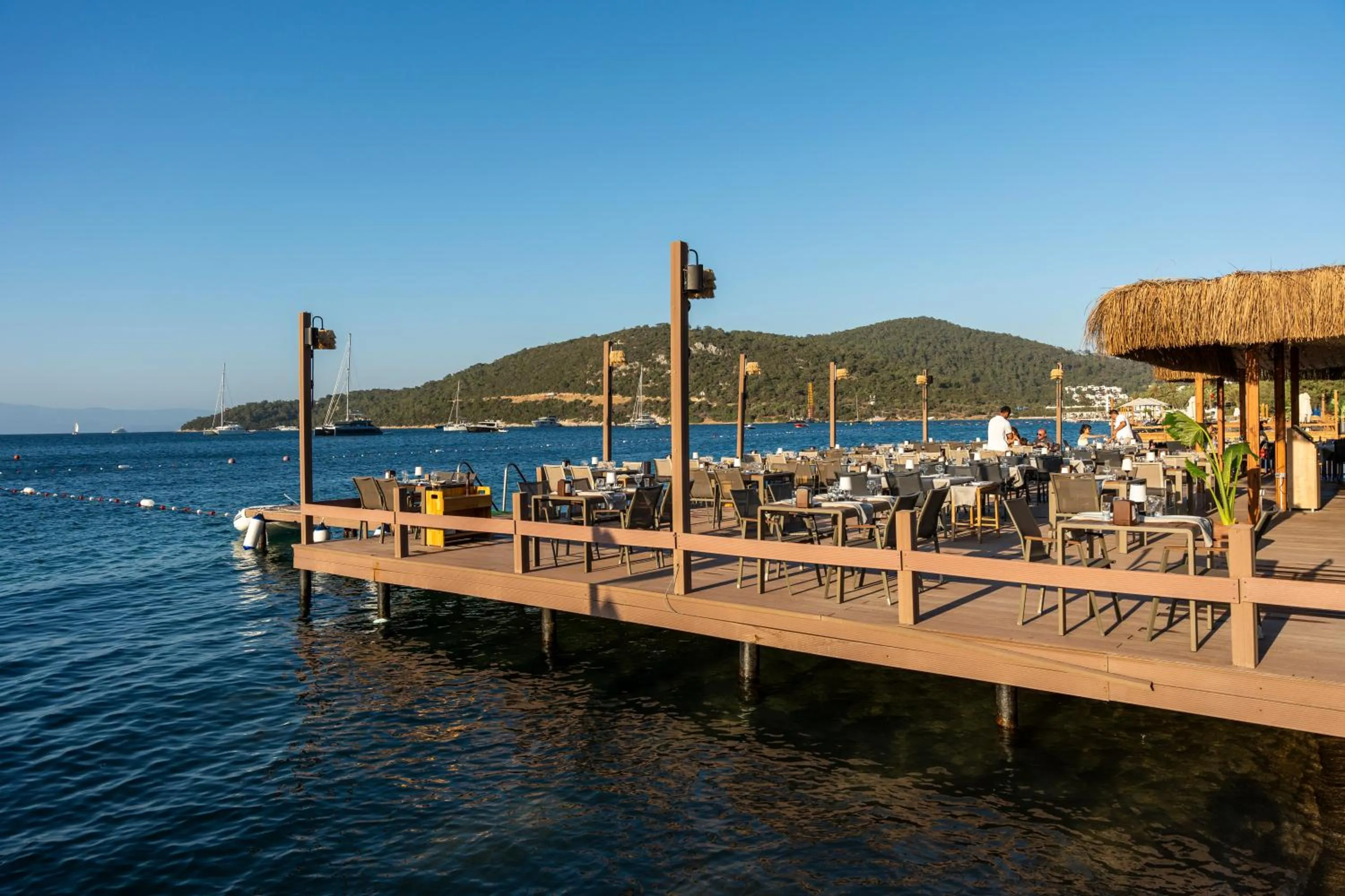 Restaurant/places to eat in Daphnis Hotel