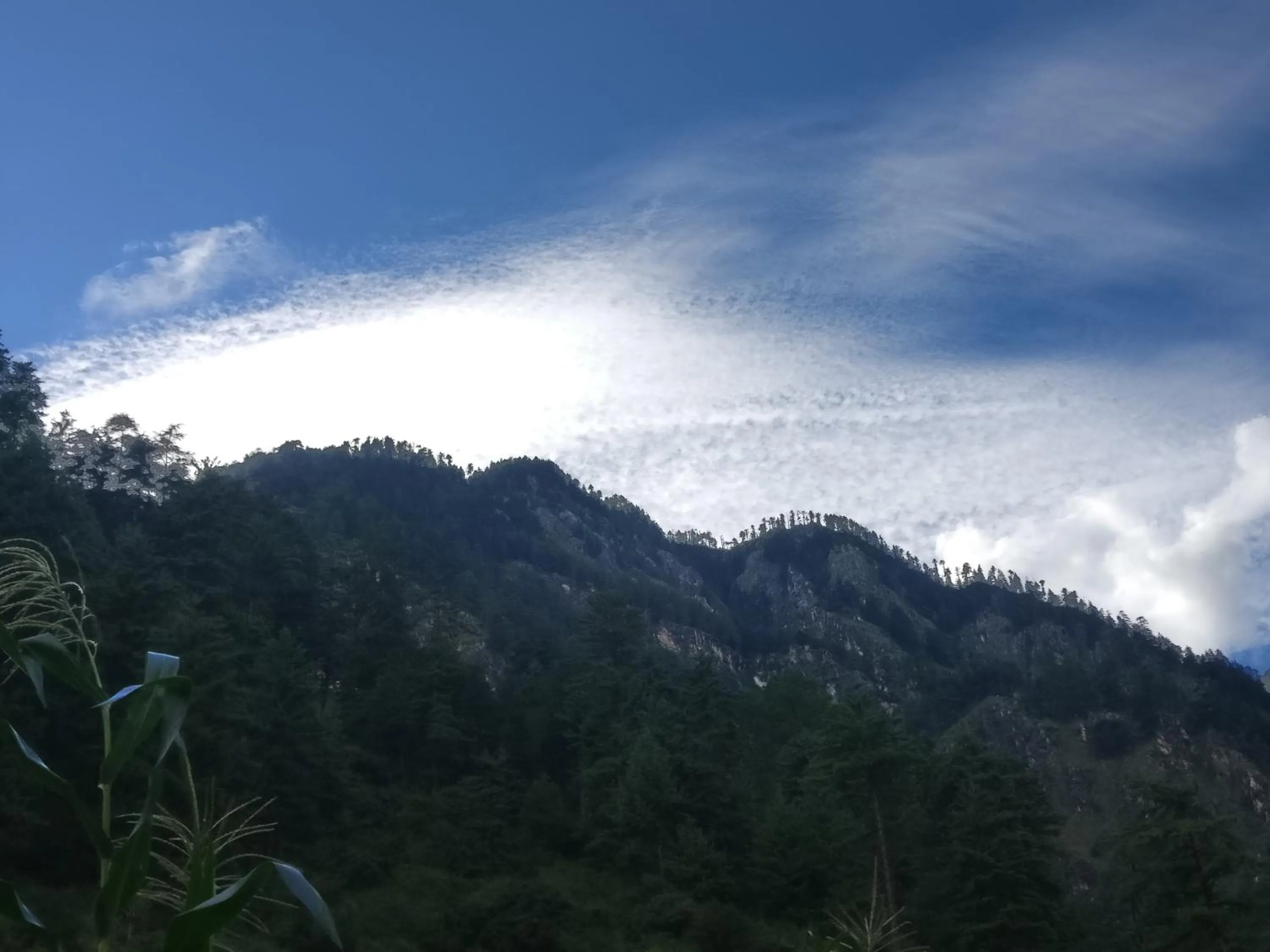 Mountain view in Flipsyde Retreat