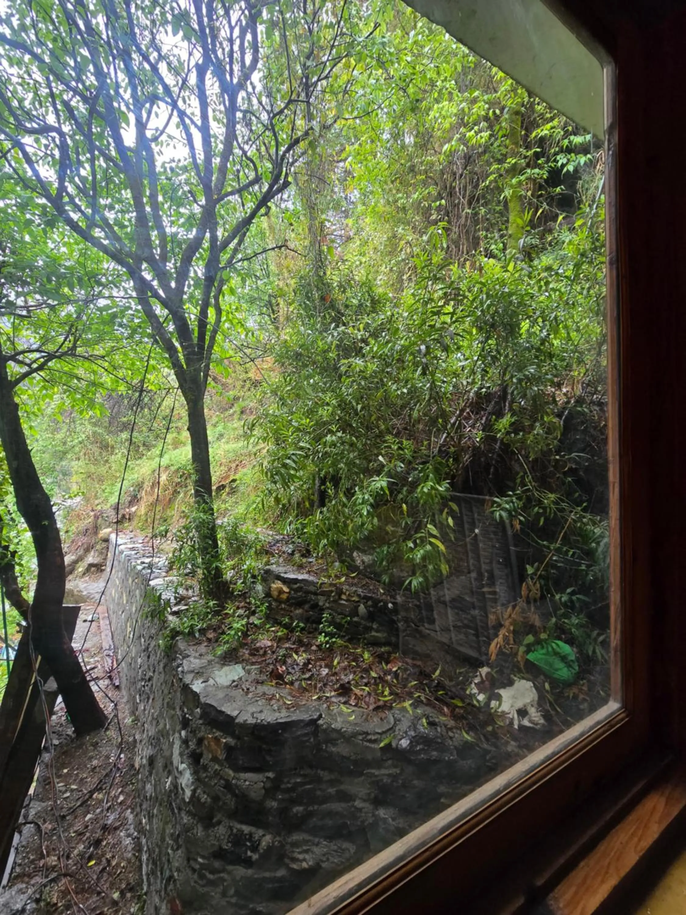 Natural landscape in Flipsyde Retreat