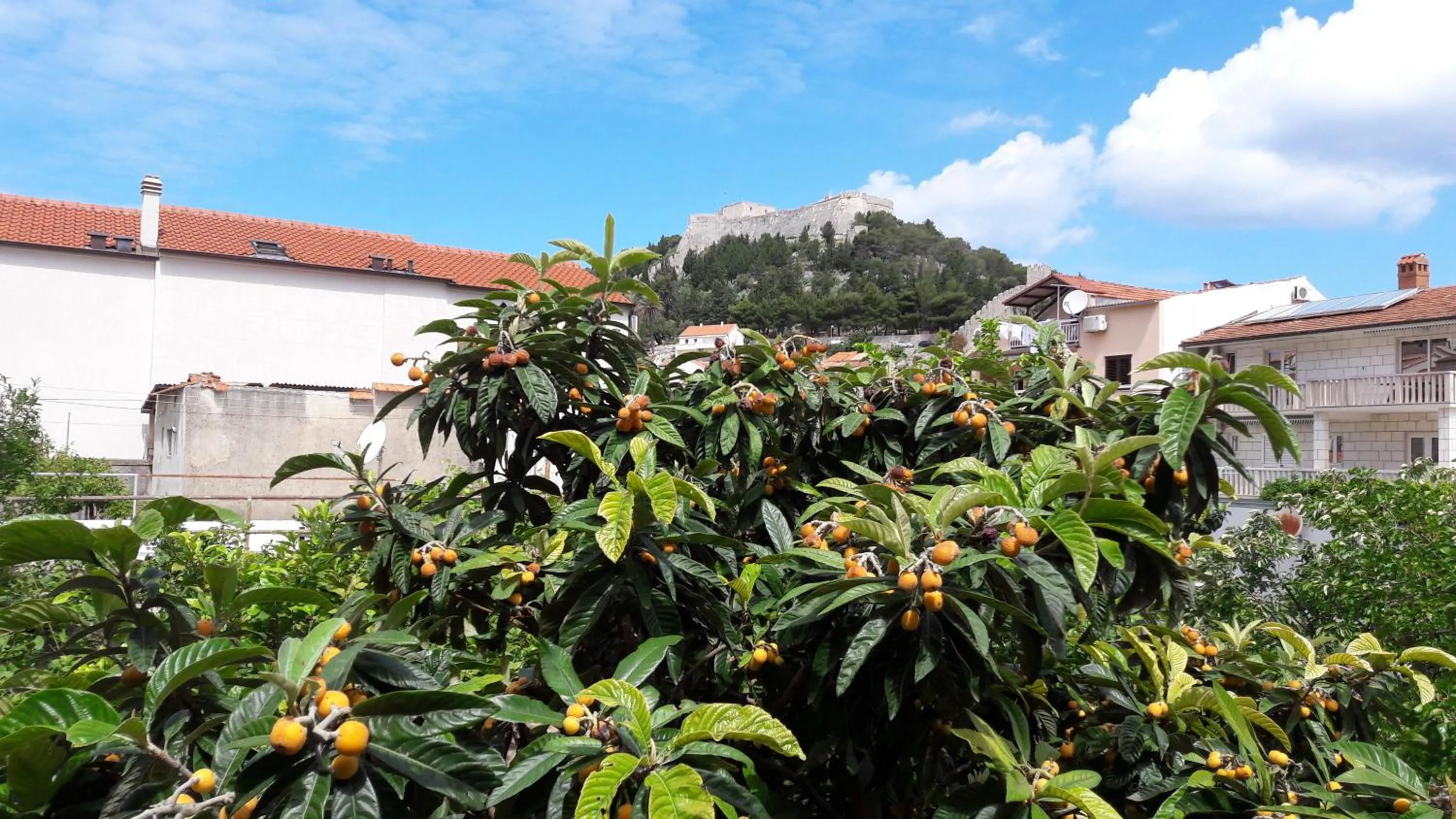 Nearby landmark in Pension Oaza