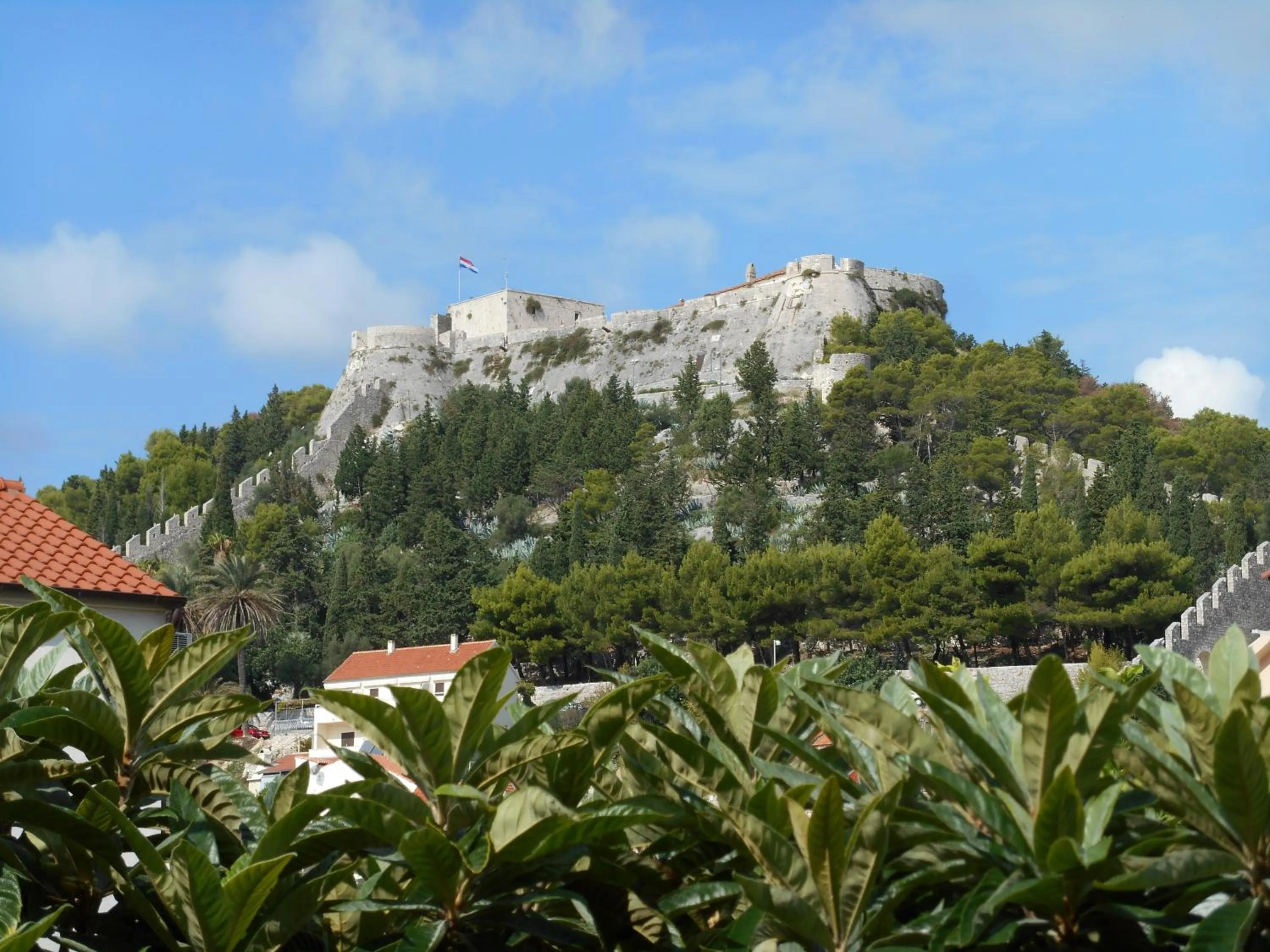 Landmark view in Pension Oaza