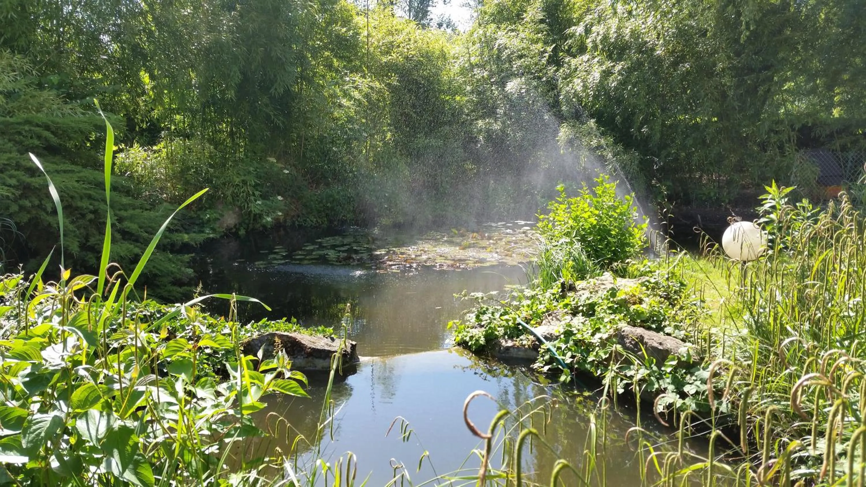 Garden in Kyriad Bourg En Bresse