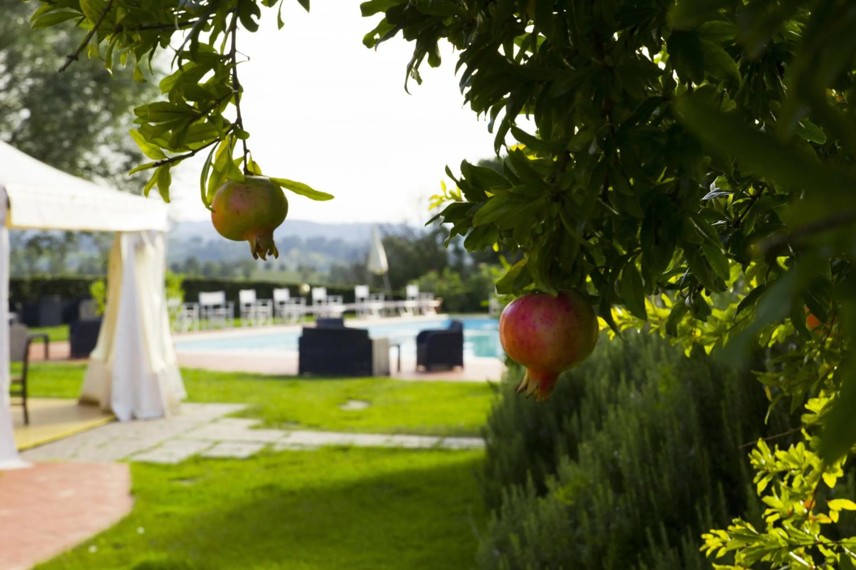 Facade/entrance in Agriturismo Marrucola