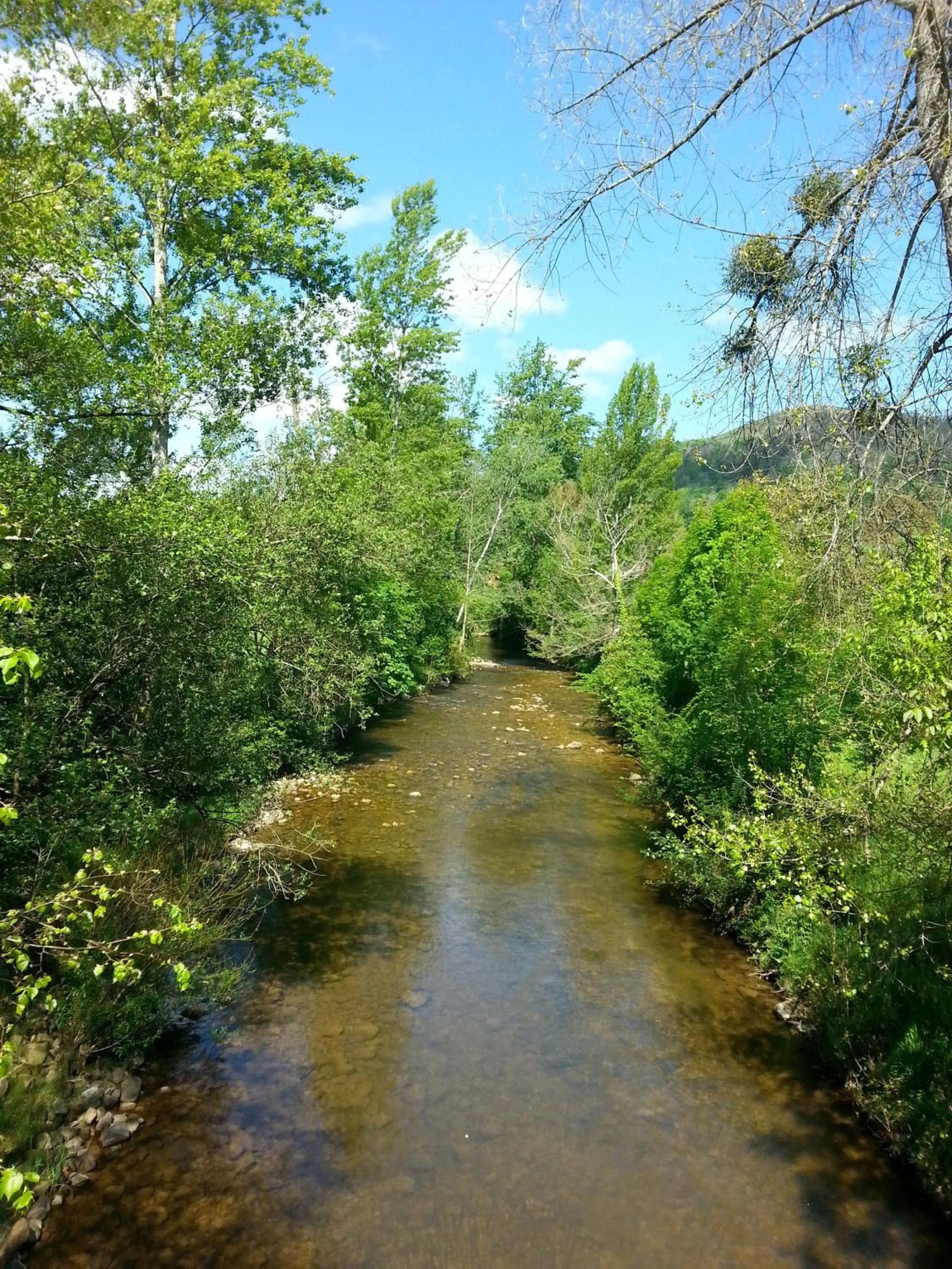 Area and facilities in Hotel Rural El Espino