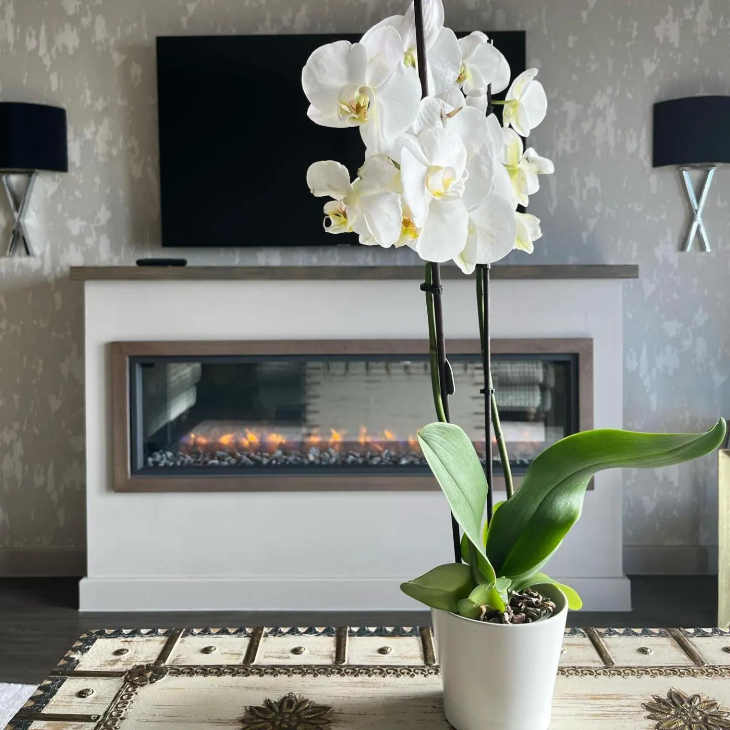 TV and multimedia in Boulevard Hotel