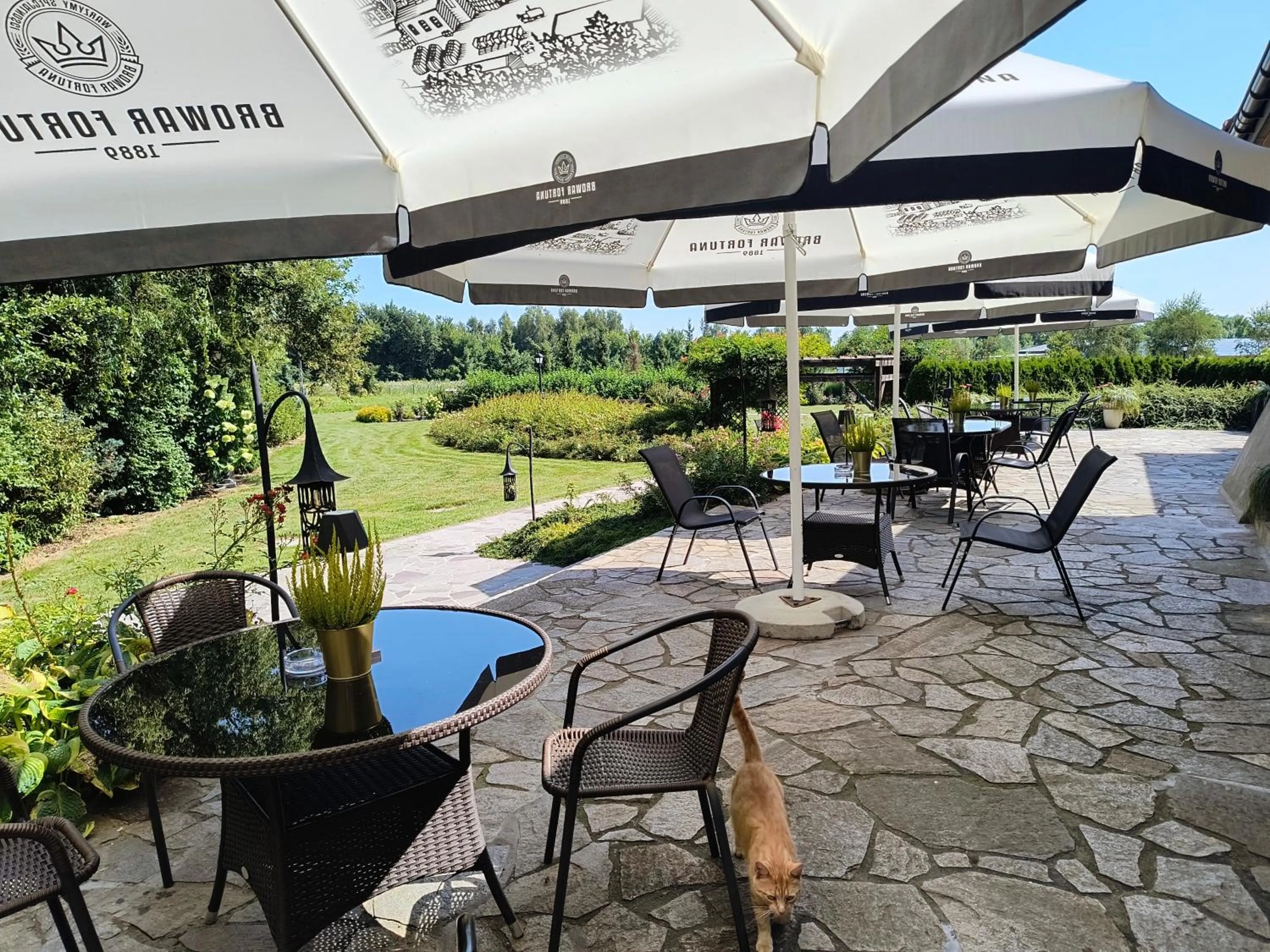 Patio in Hotel Kasztel