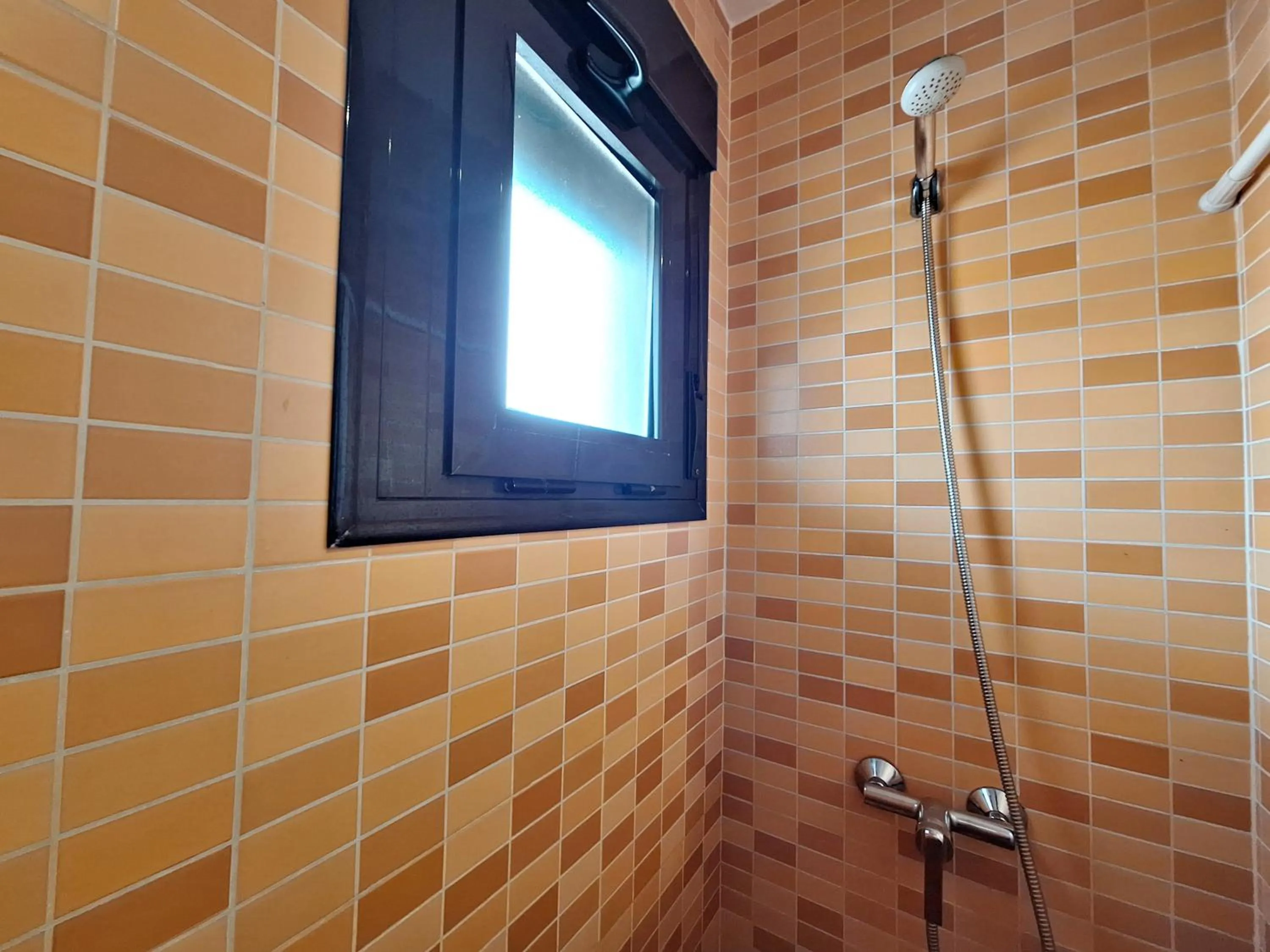Shower in Apartamentos Alborada III