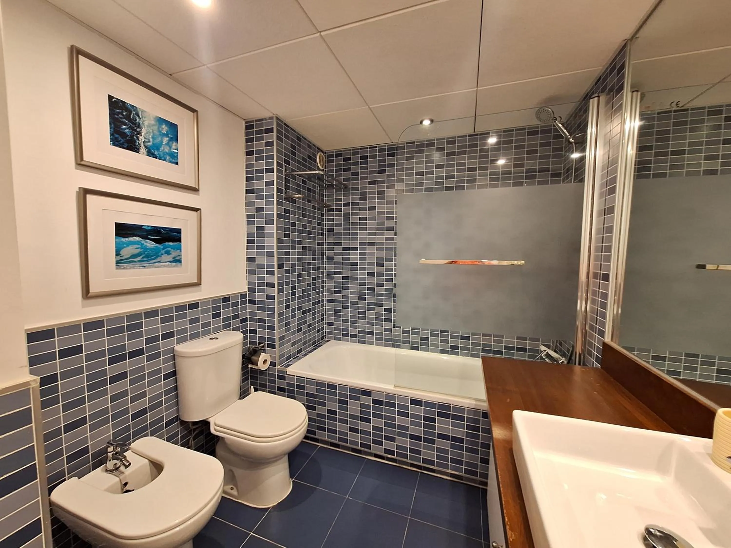 Bathroom in Apartamentos Alborada III