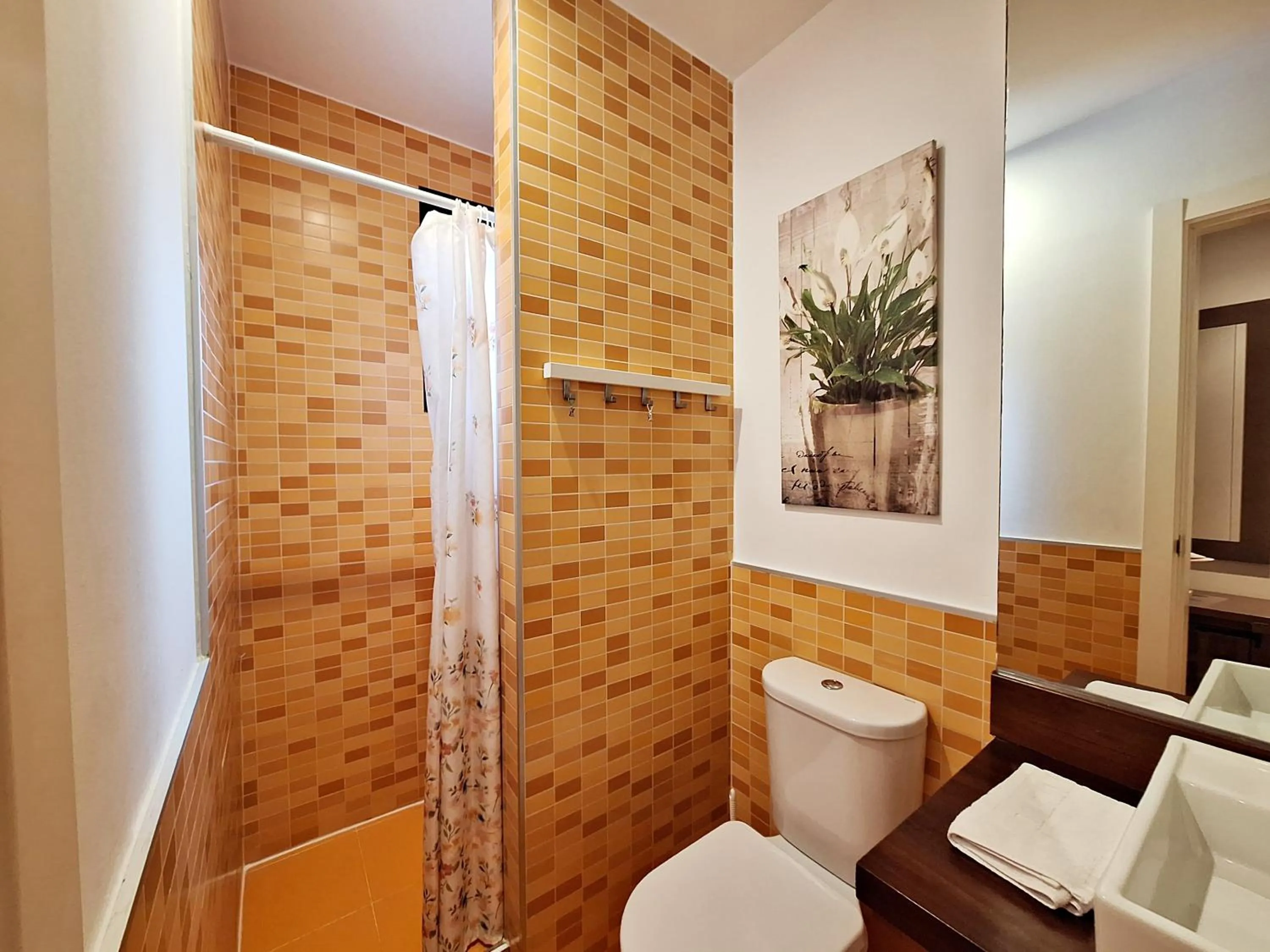 Shower in Apartamentos Alborada III