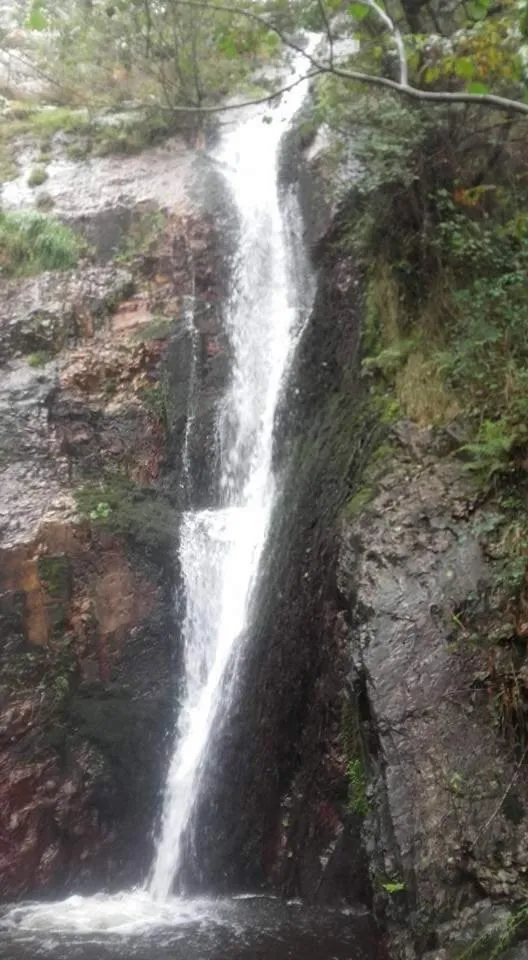 Natural landscape in Hotel Restaurante el Fornon