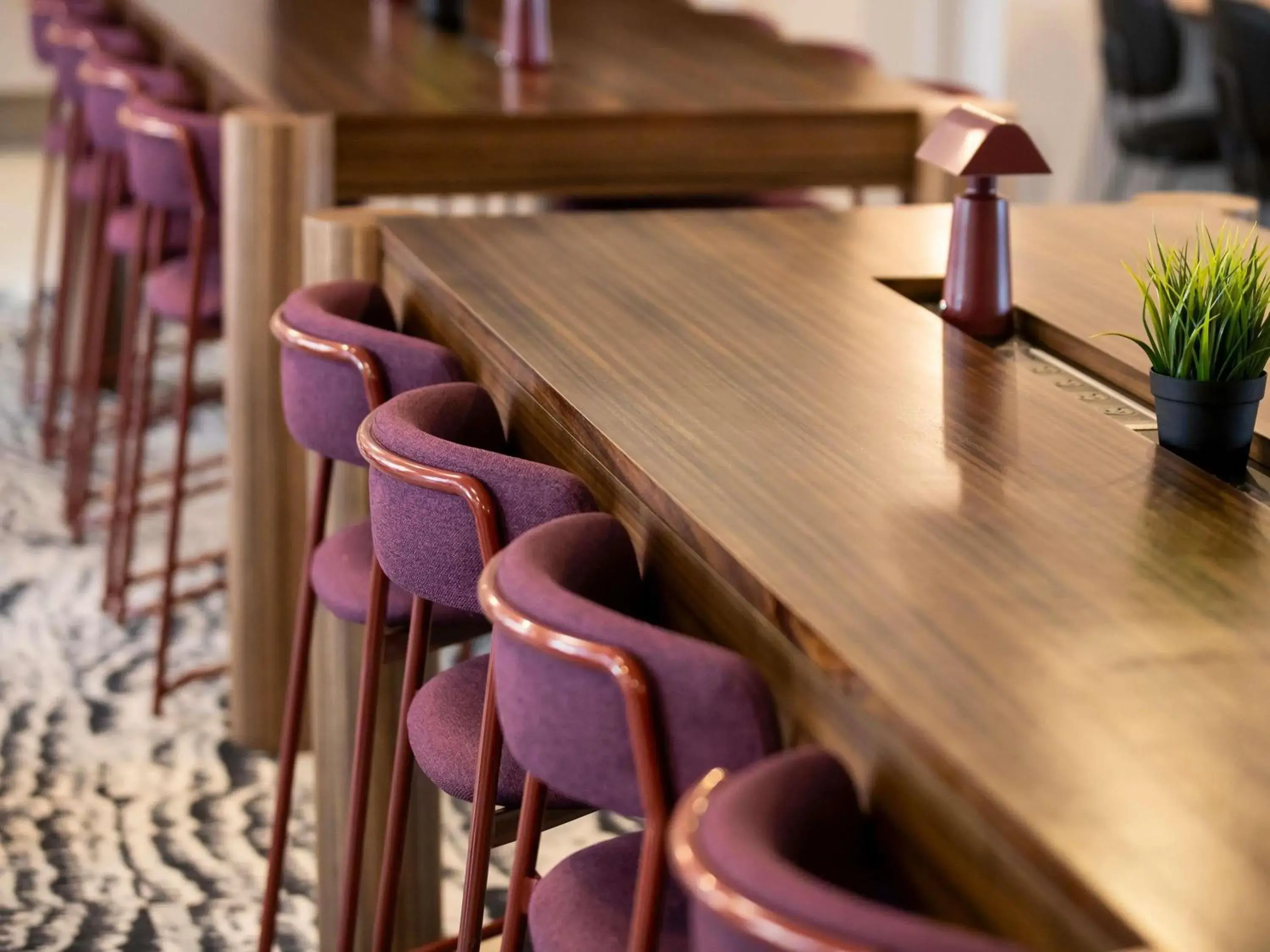 Restaurant/places to eat in Mercure Sydney Manly Warringah Restaurant/places to eat in Mercure Sydney Manly Warringah